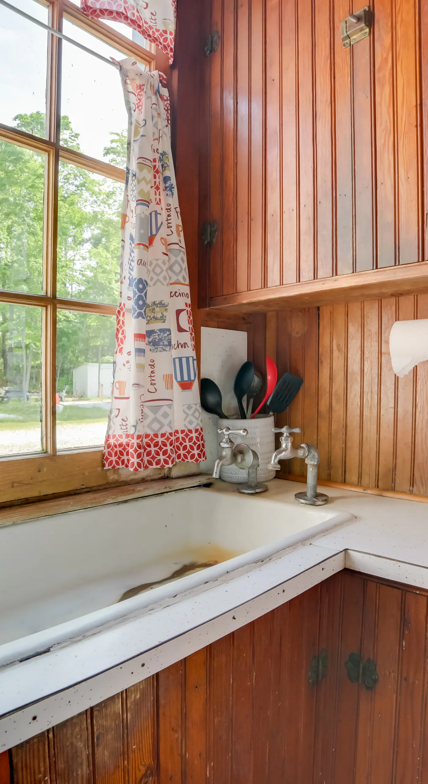 Boat, Paddle & Swim! Lakefront Cabin in Cedarville