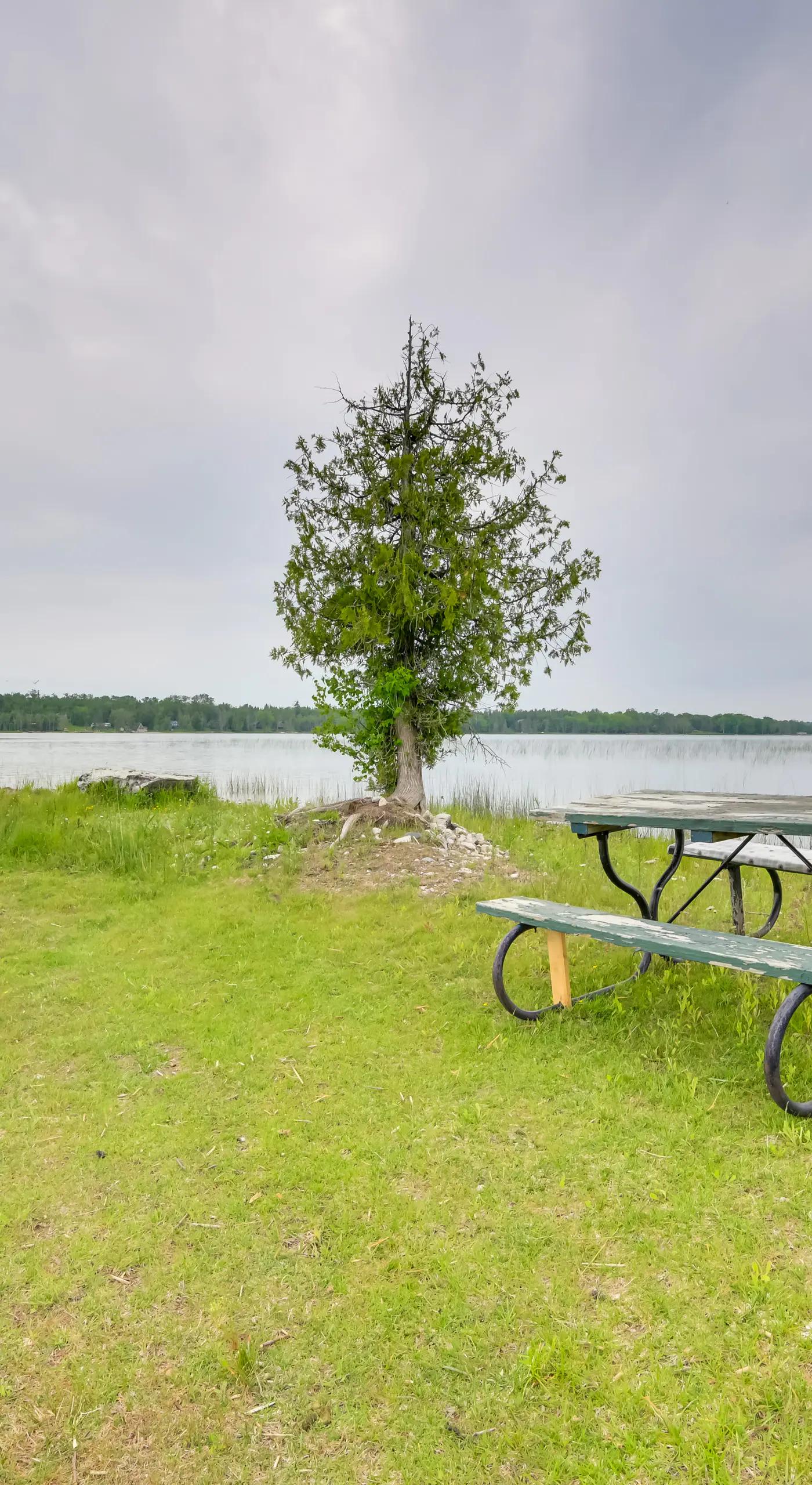 Boat, Paddle & Swim! Lakefront Cabin in Cedarville
