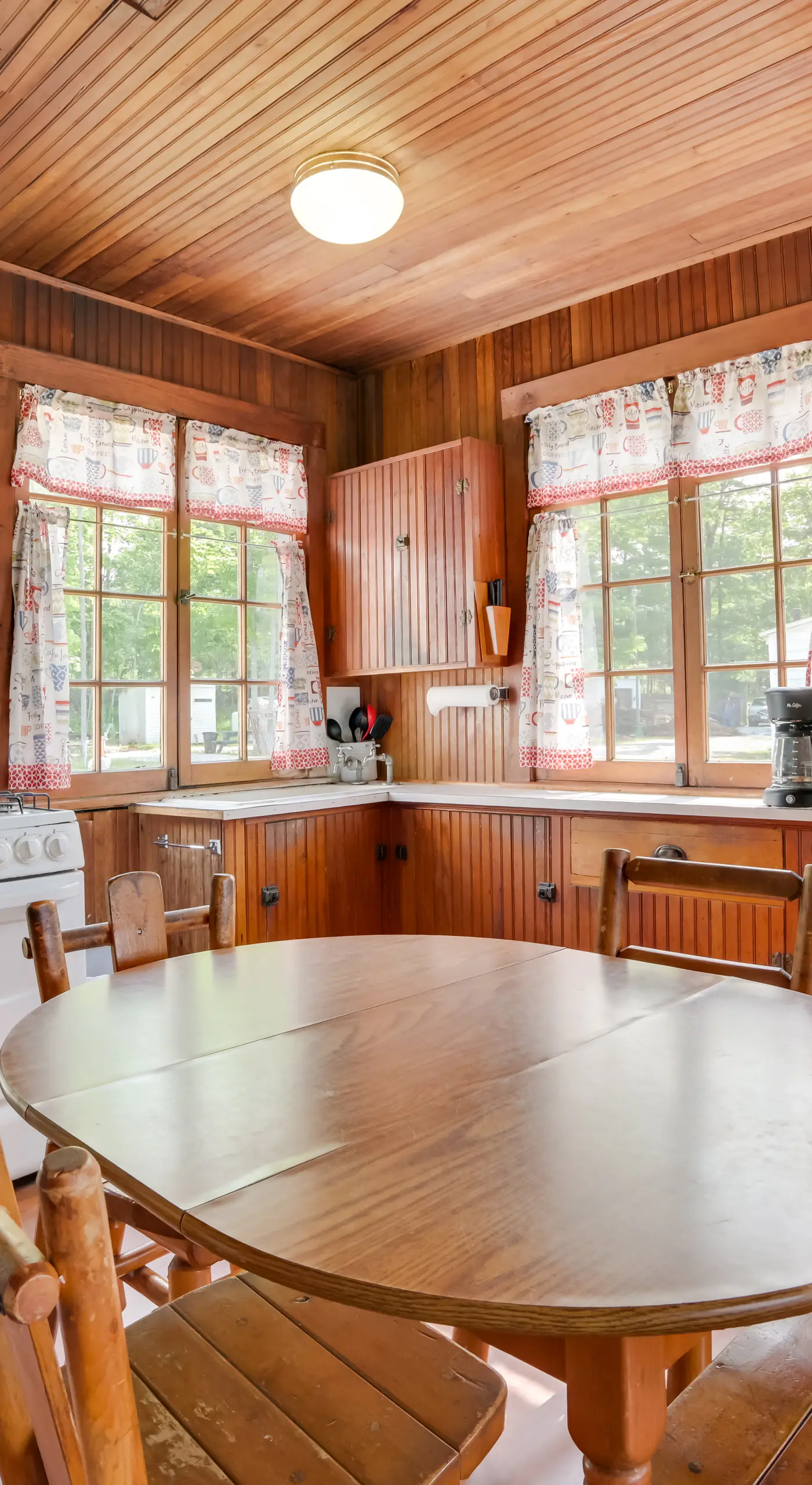 Boat, Paddle & Swim! Lakefront Cabin in Cedarville