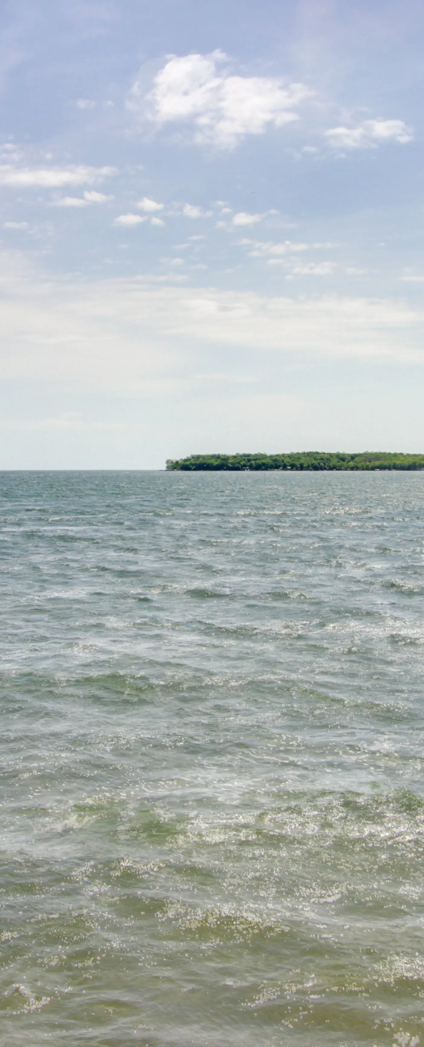 Eagle's Nest Cabin on Mille Lacs Lake: Boat + Fish
