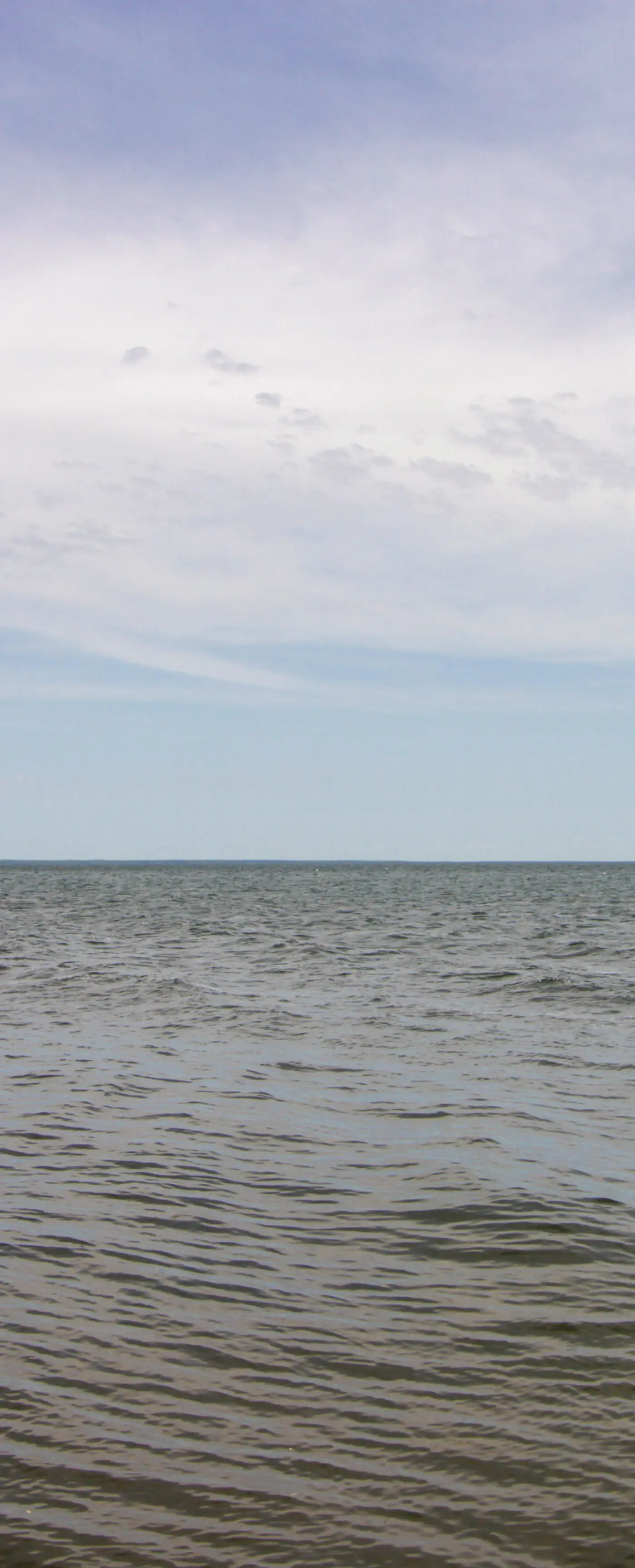 Eagle's Nest Cabin on Mille Lacs Lake: Boat + Fish