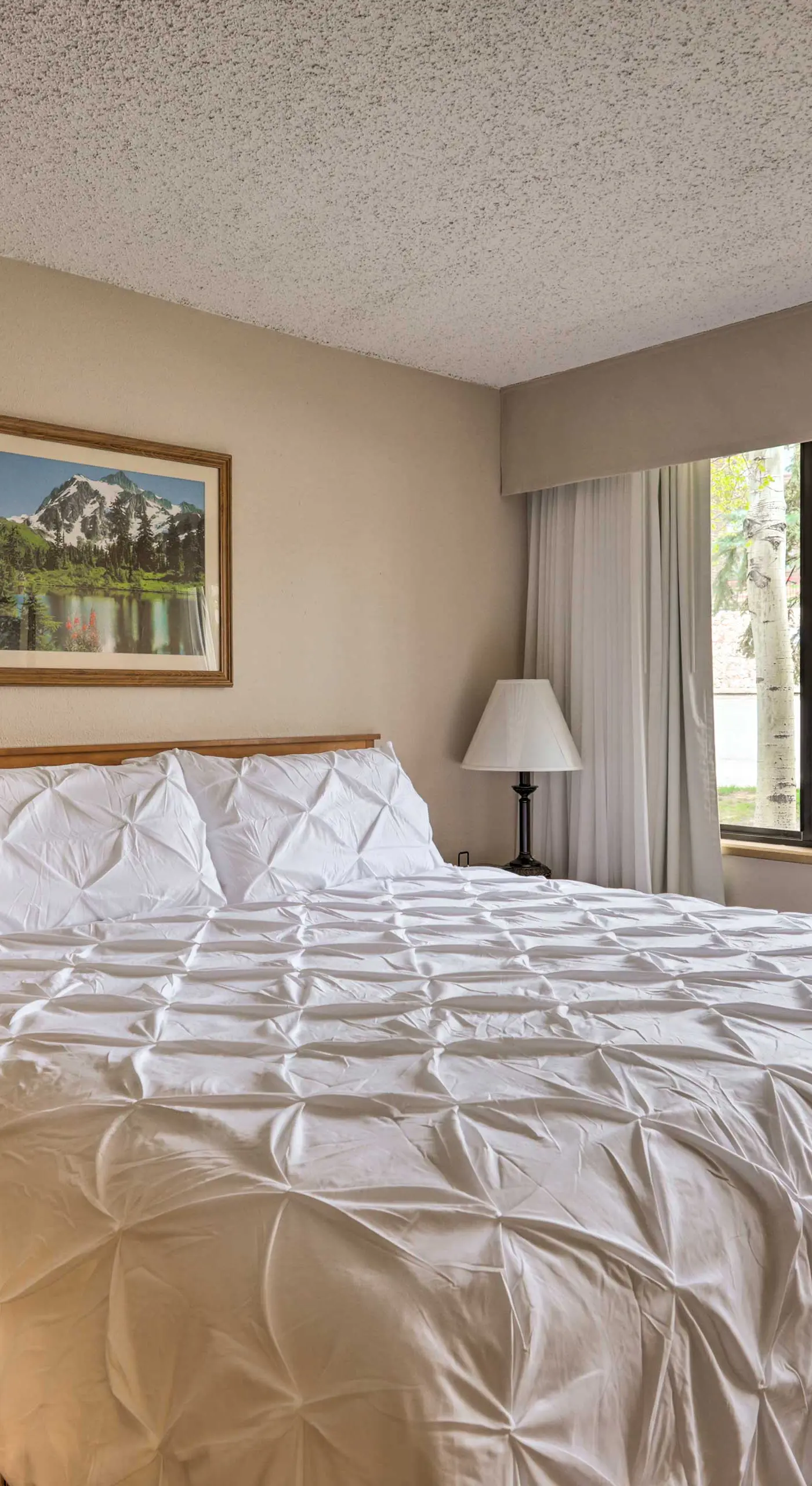 Crested Butte Studio w/ Community Hot Tub & Pool!