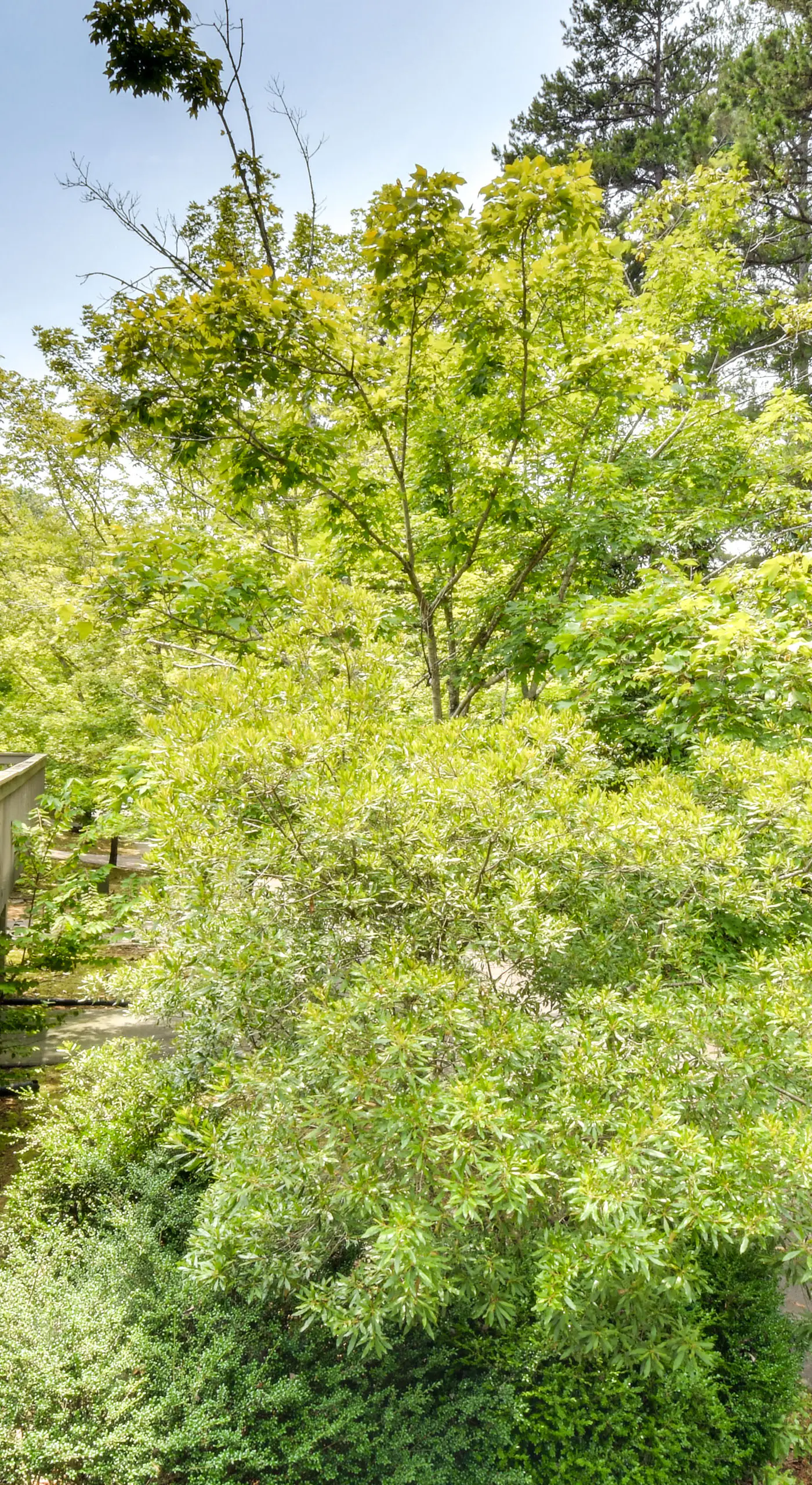 Walk to Lake Keowee: Salem Townhome w/ Deck