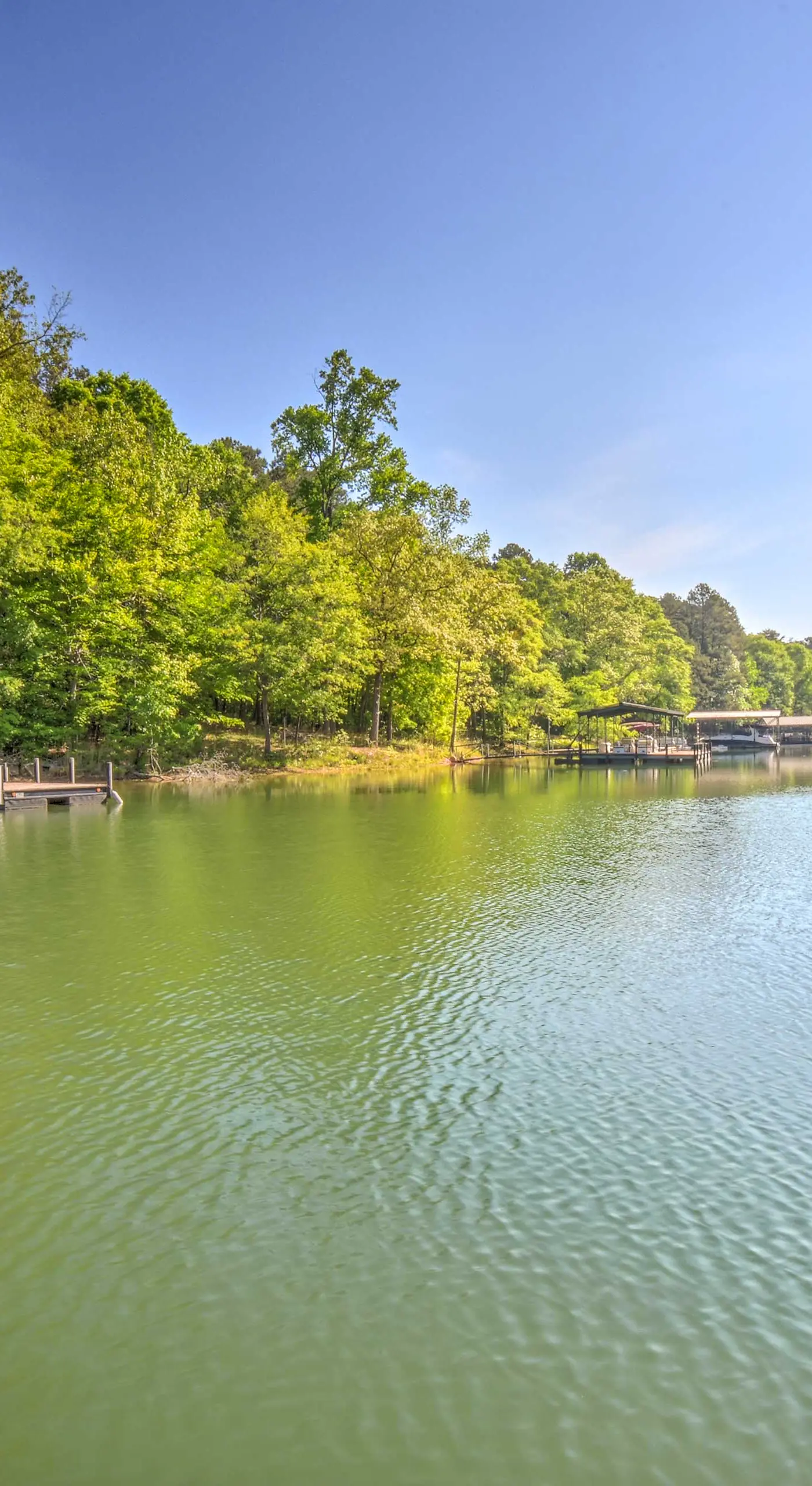 Lakefront Townville Gem w/ Boat Dock & Kayaks