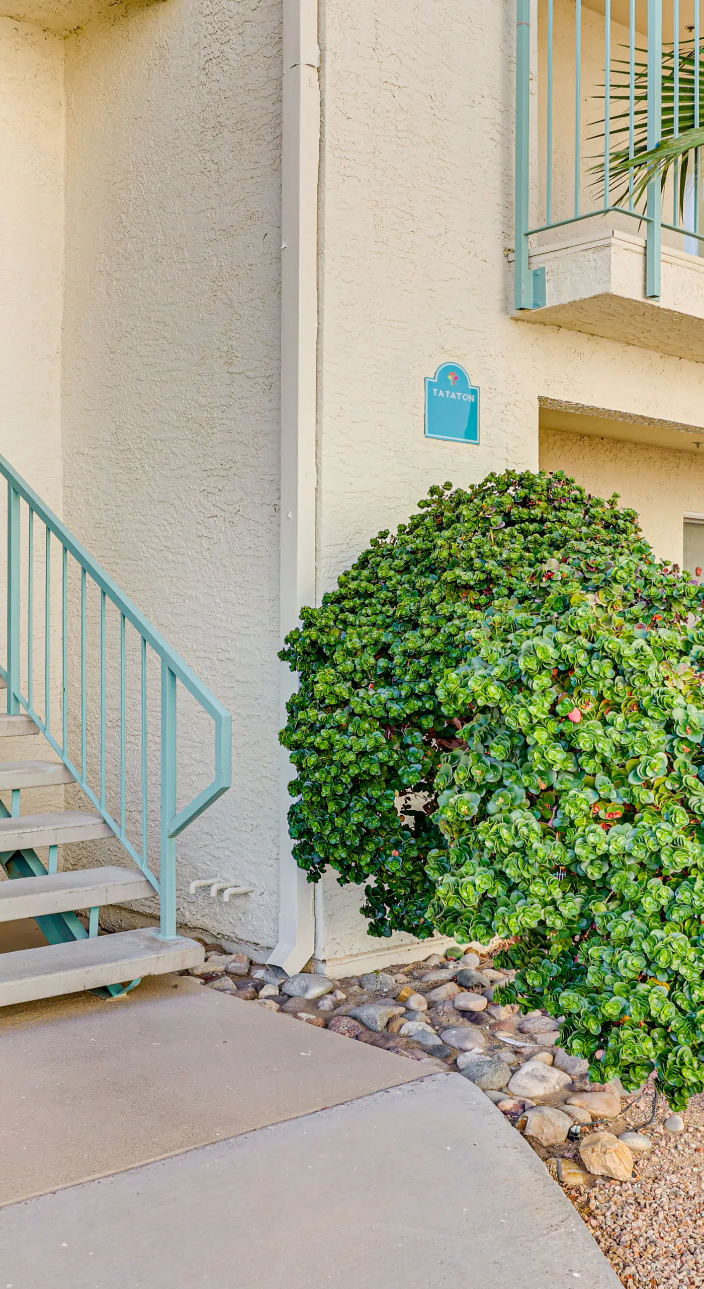Community Pool & Gym: Apt 5 Mi to Laughlin Casinos