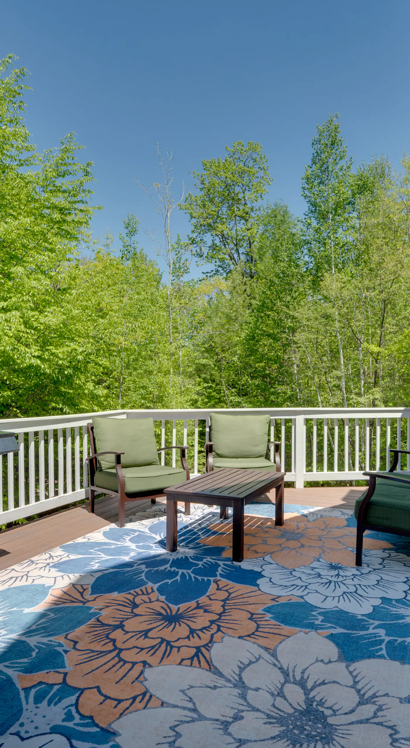 Hot Tub & Private Beach Access! North Conway Home