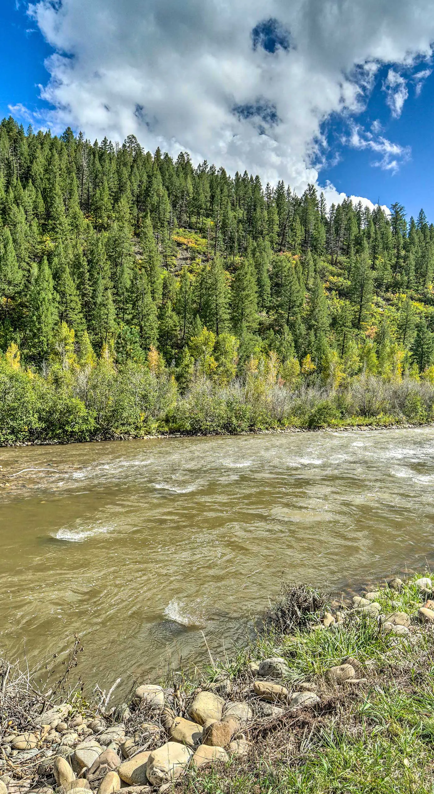 Serene Dolores Cabin w/ Patio & River Access!