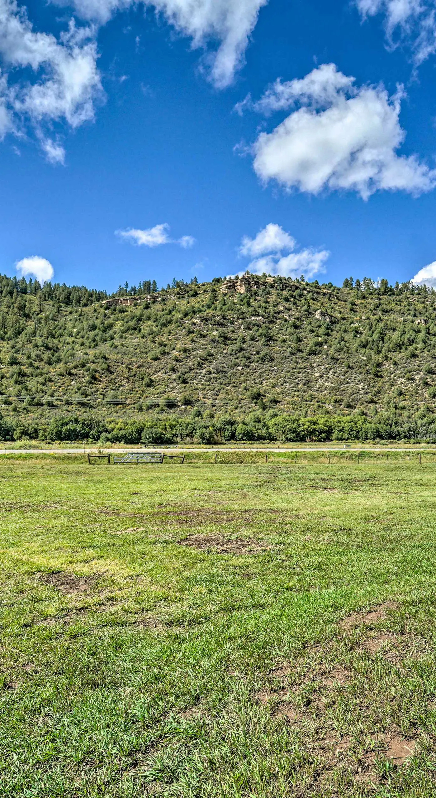 Serene Dolores Cabin w/ Patio & River Access!