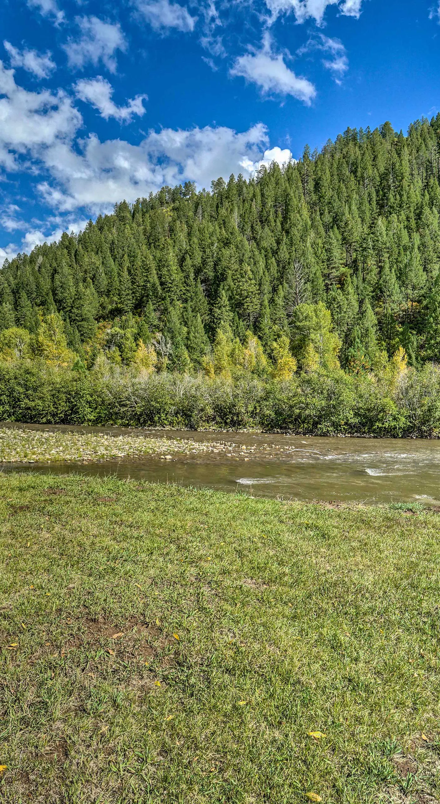 Serene Dolores Cabin w/ Patio & River Access!