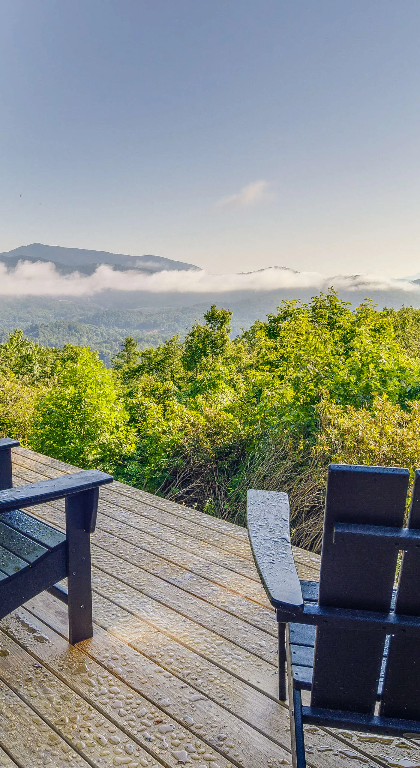'Inchworm Ranch' Blue Ridge Cabin, Pets Welcome