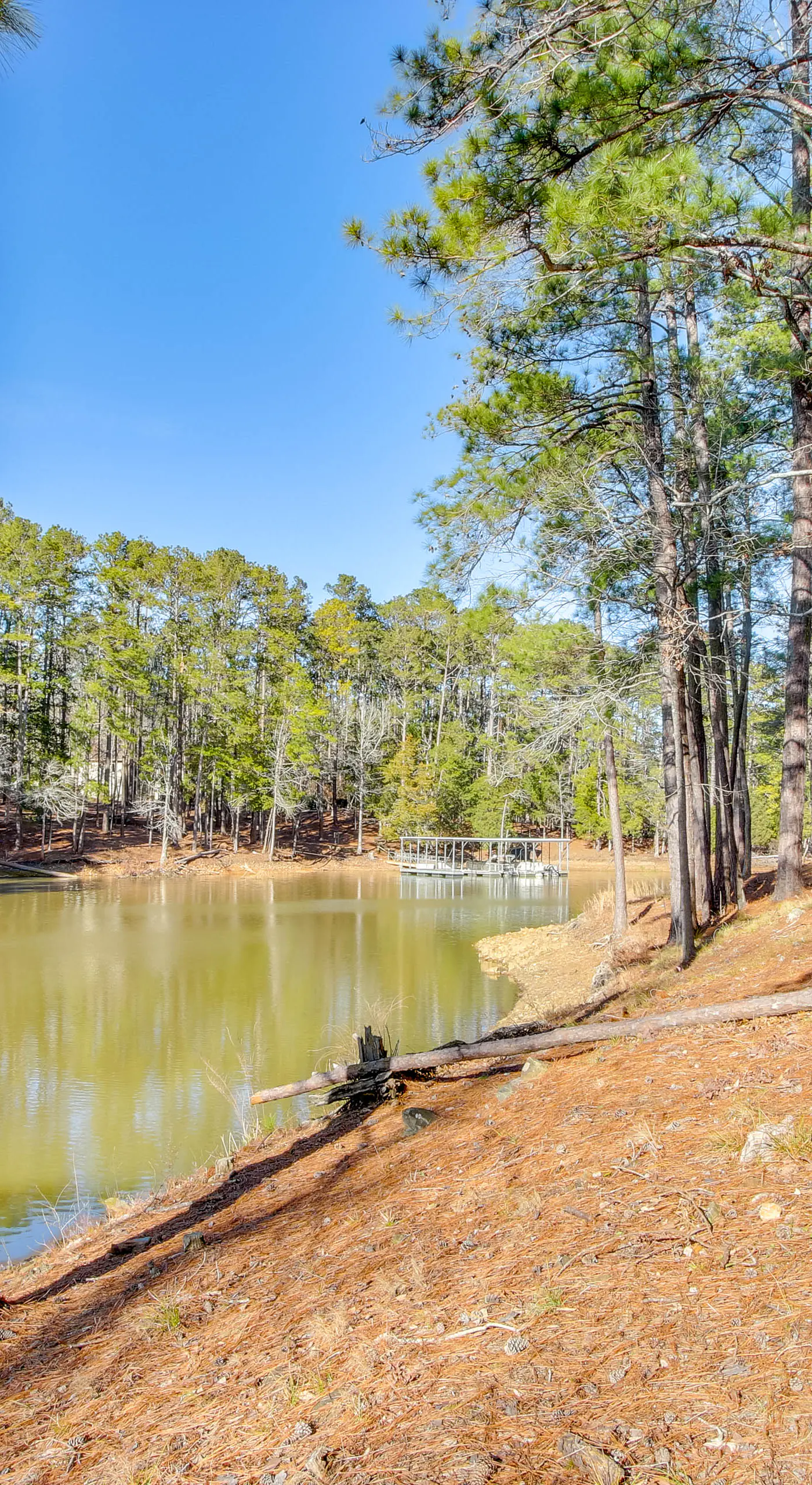 Lakefront McCormick Gem: Deck & Golf Course Views