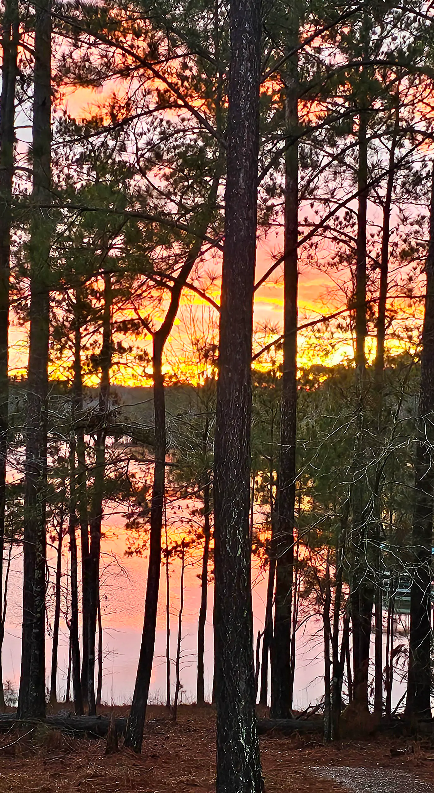 Lakefront McCormick Retreat w/ Patio & Views