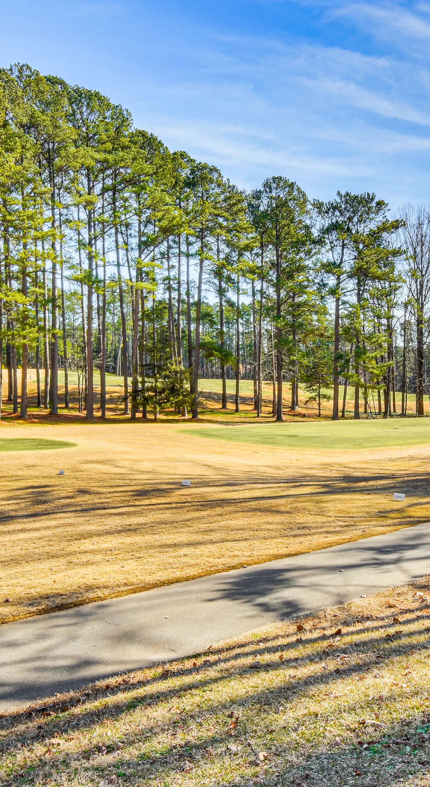 Tee Times & Lake Days! Luxe Keowee Key Living