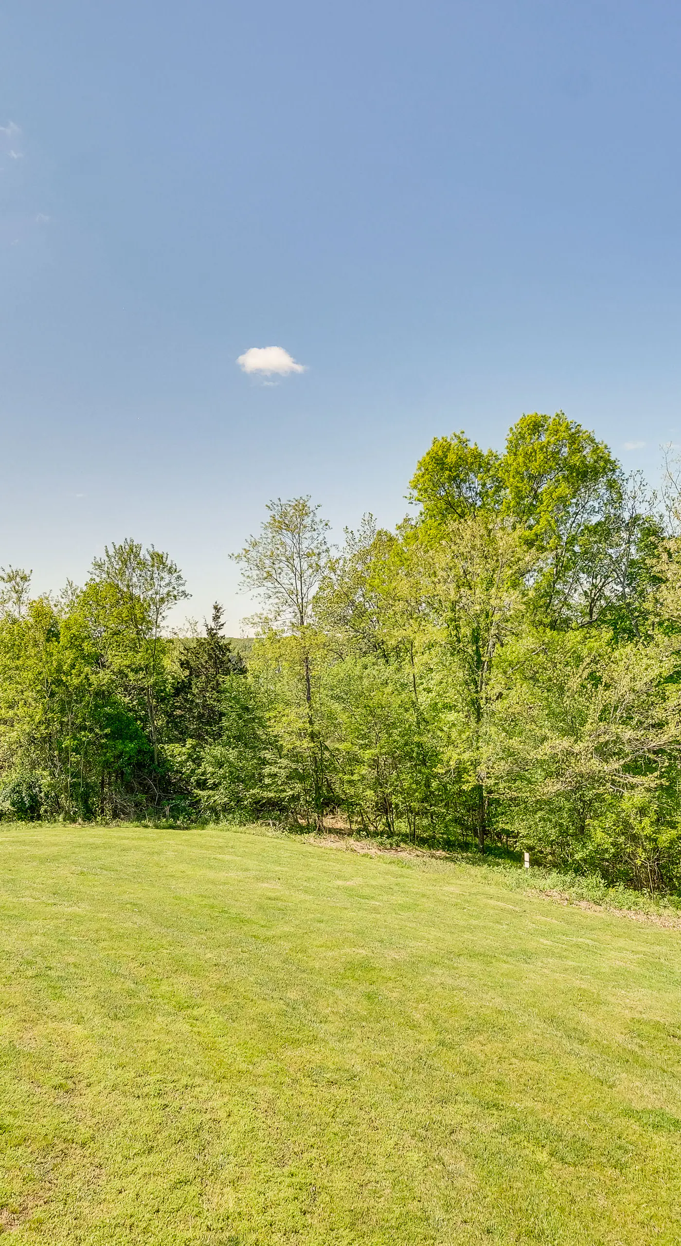 Cozy Resort-Style Escape on Taylorsville Lake!