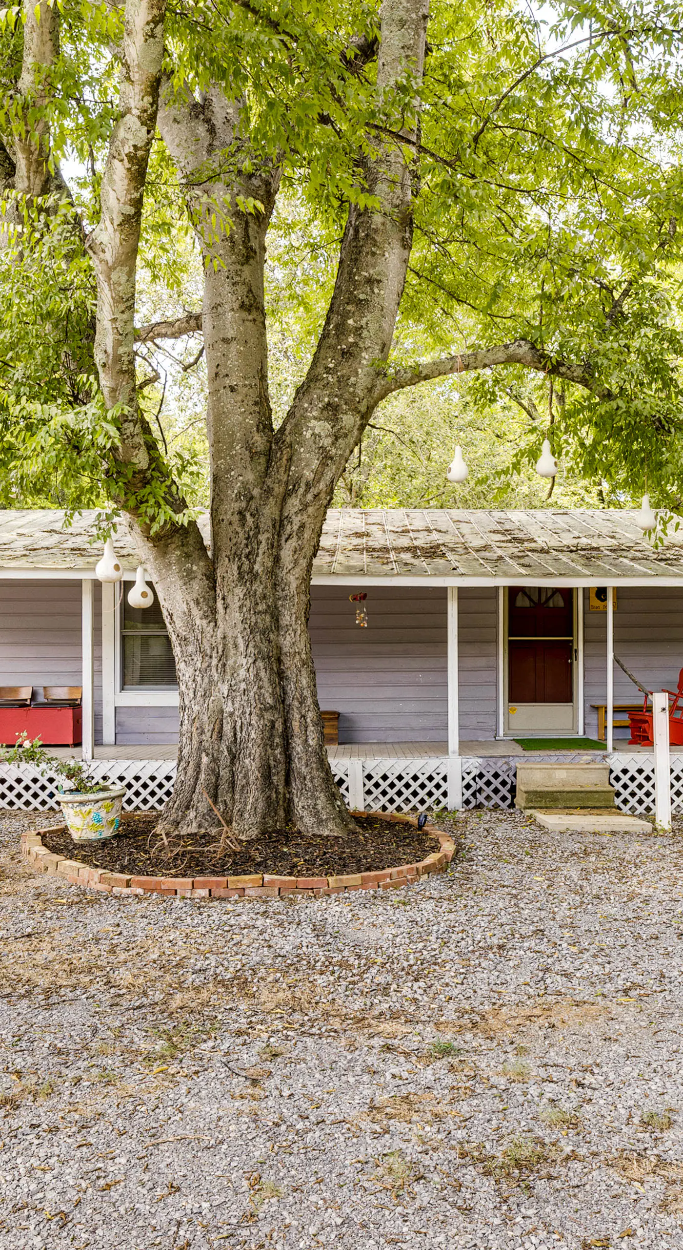 No Pet Fee! Peaceful Escape at Towner Properties
