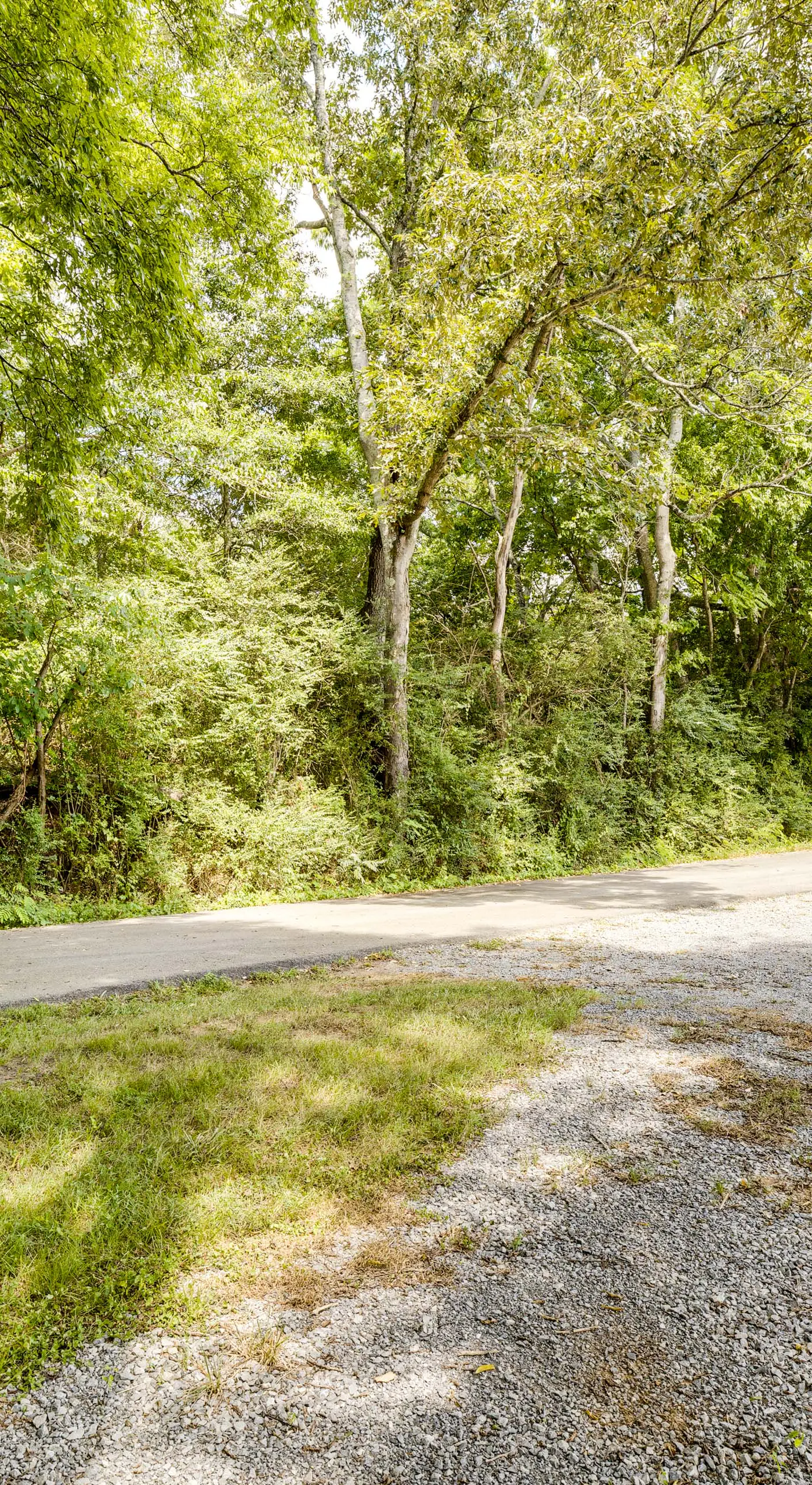 No Pet Fee! Peaceful Escape at Towner Properties