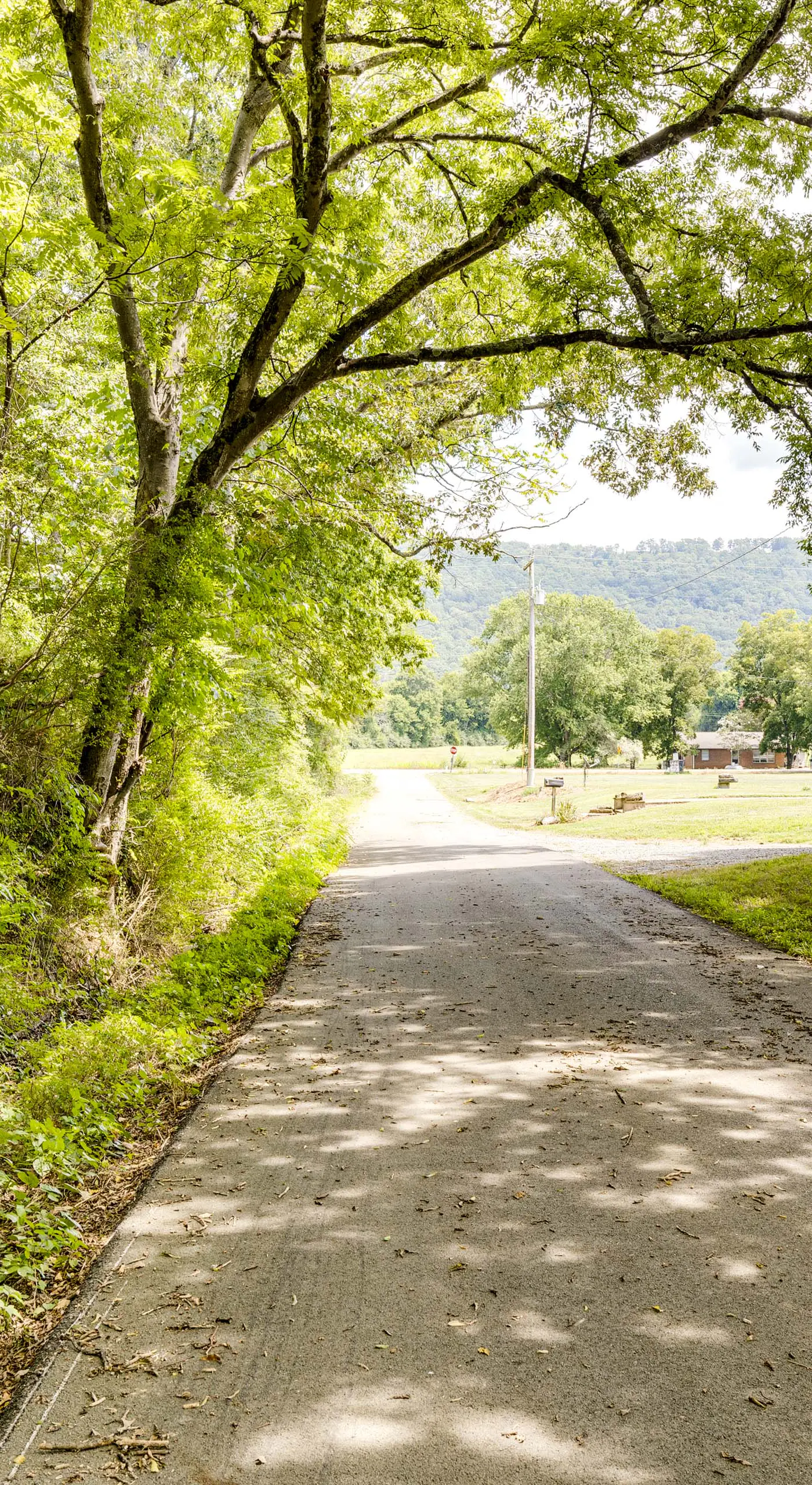 No Pet Fee! Peaceful Escape at Towner Properties