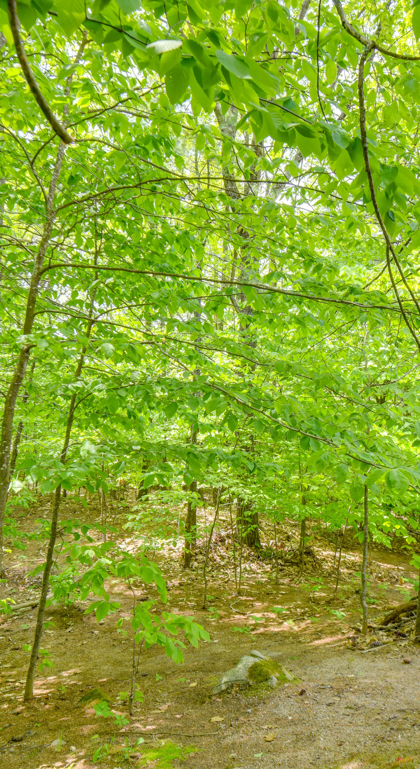 New Hampshire Vacation Rental - Walk to Beach!
