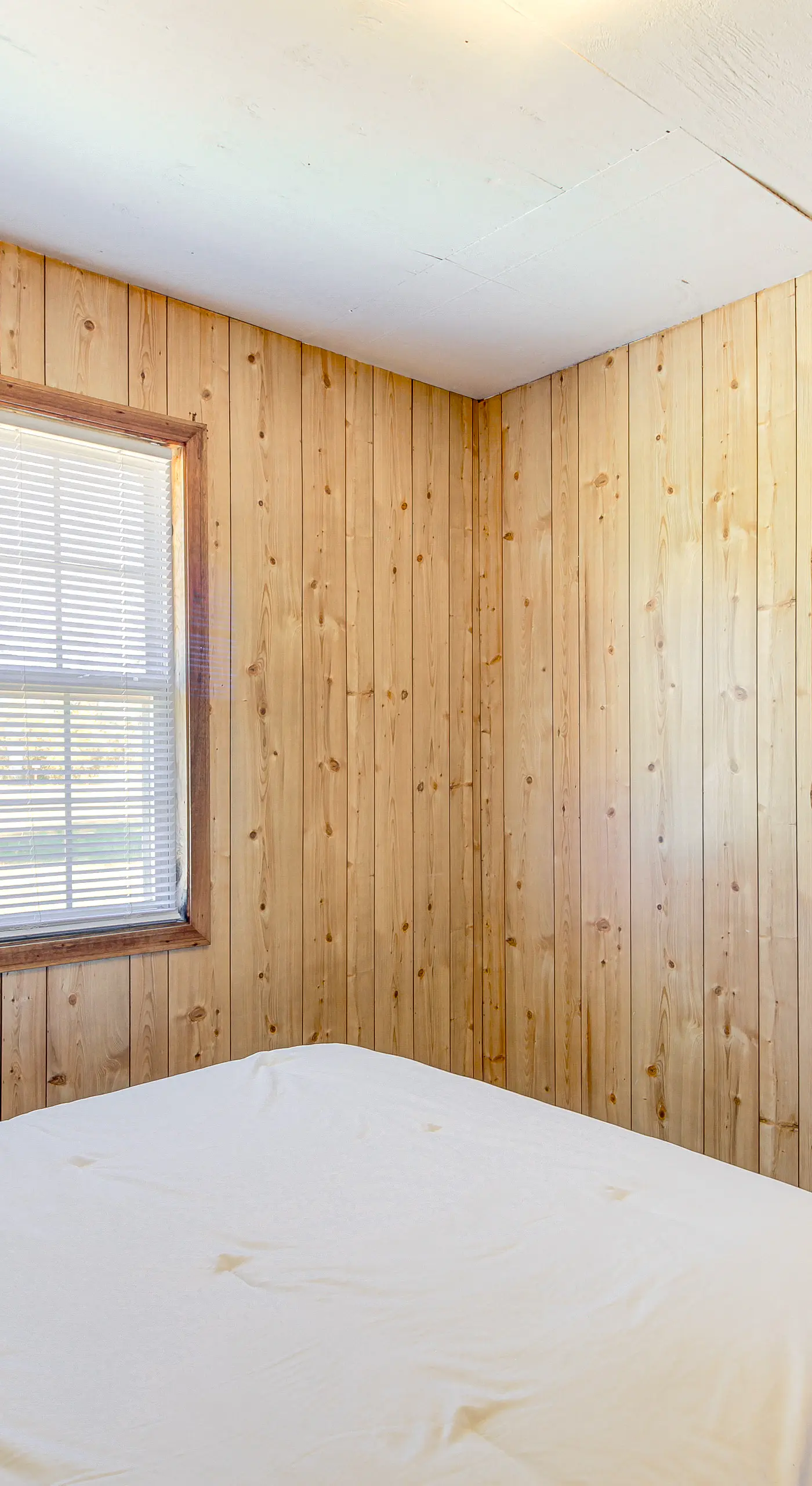 ‘Muskie Cabin’ on Mille Lacs Lake: Boat & Fish!