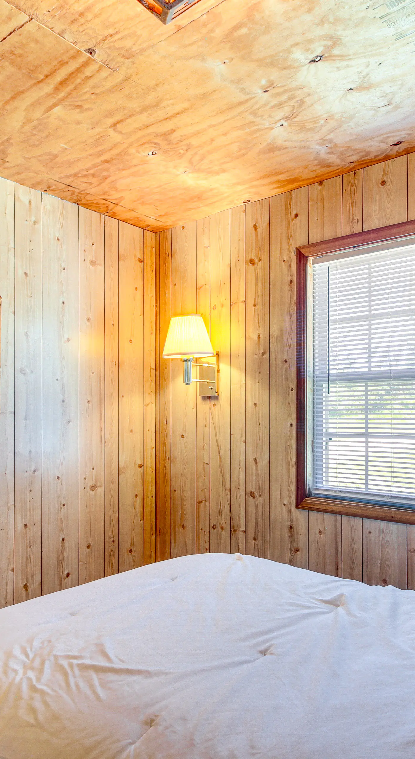 ‘Muskie Cabin’ on Mille Lacs Lake: Boat & Fish!