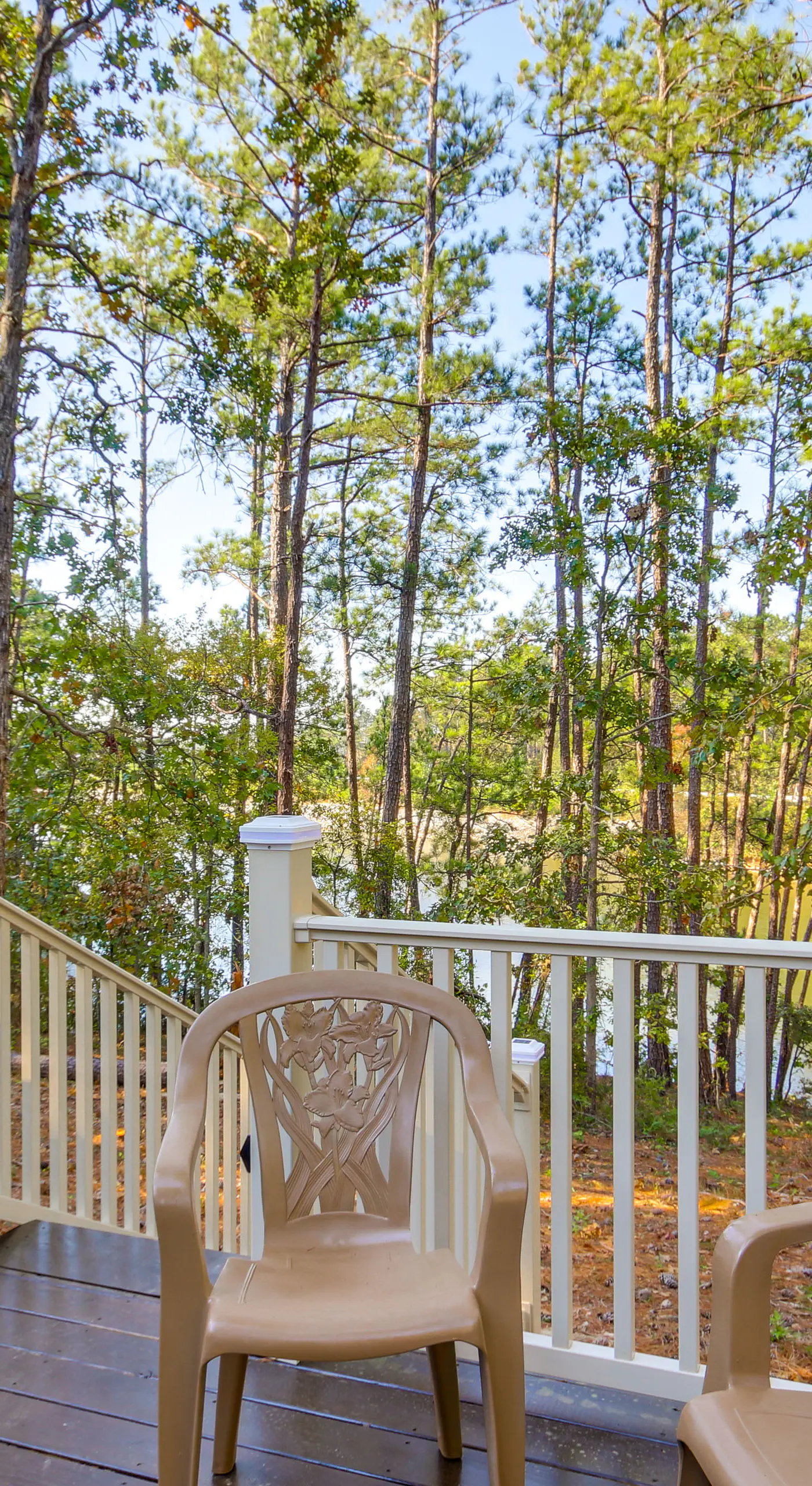 Modern McCormick Townhome on Lake Thurmond!