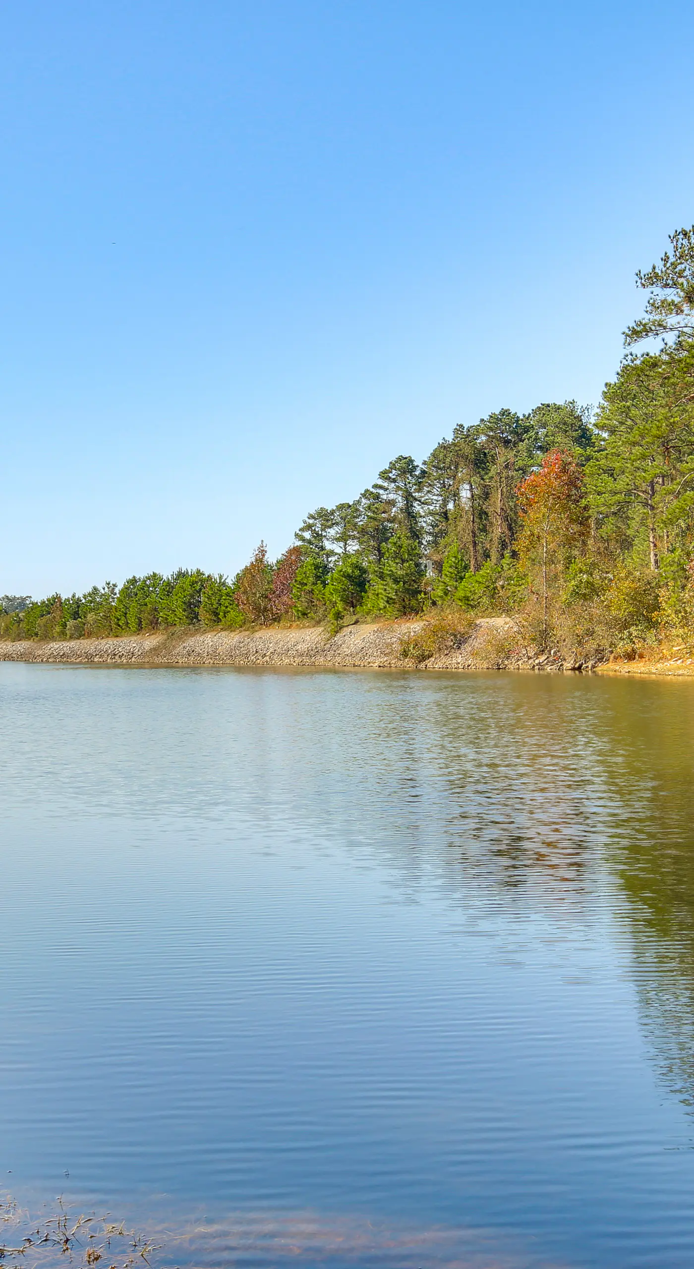 Modern McCormick Townhome on Lake Thurmond!