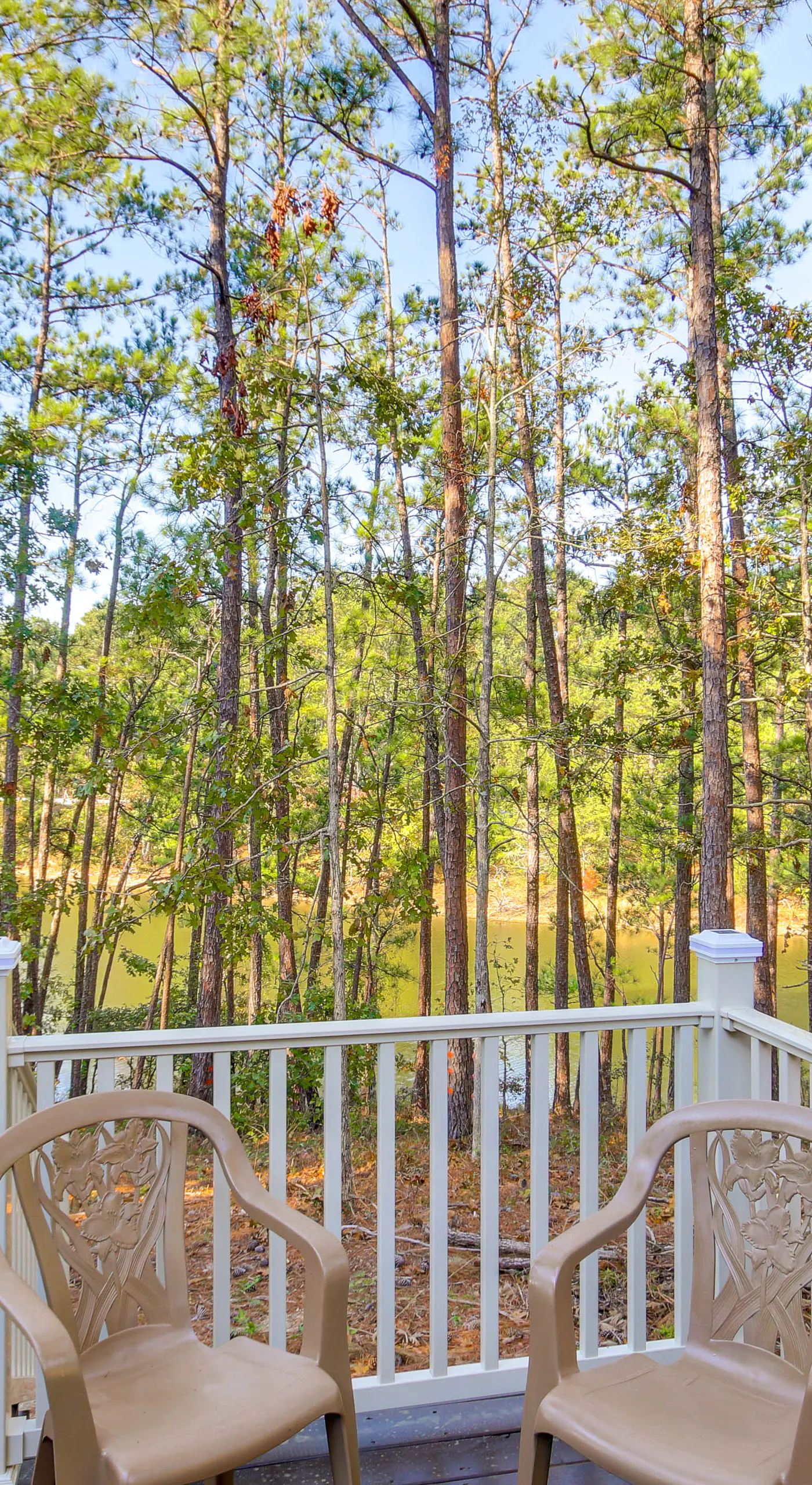 Modern McCormick Townhome on Lake Thurmond!