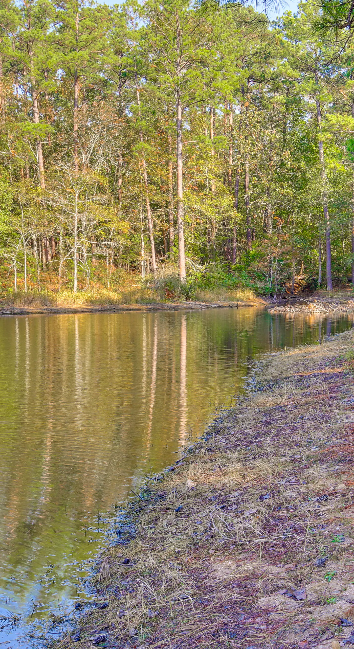 Modern McCormick Townhome on Lake Thurmond!