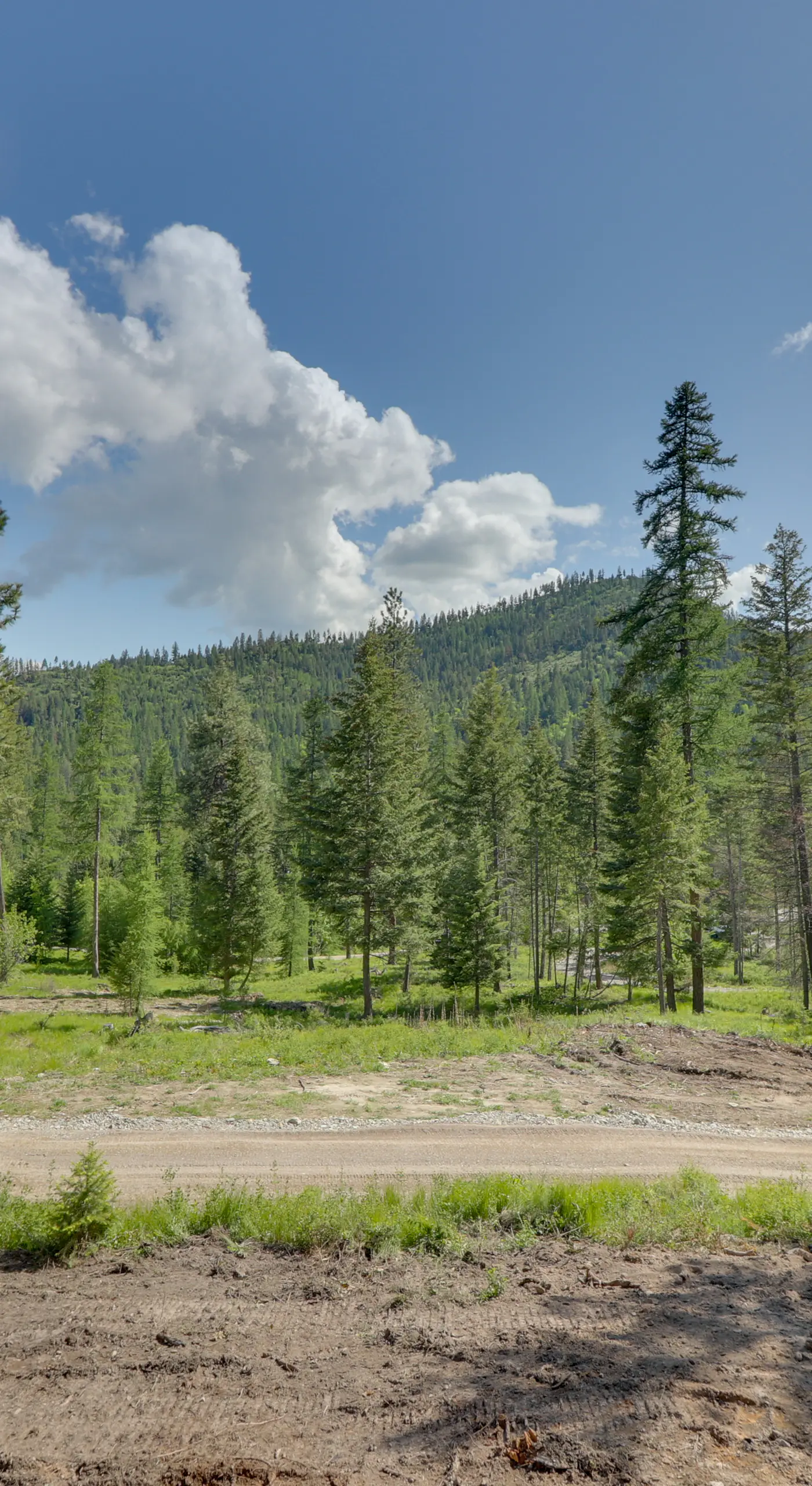 Lakeside Cabin w/ Hot Tub: 3 Mi to Flathead Lake!