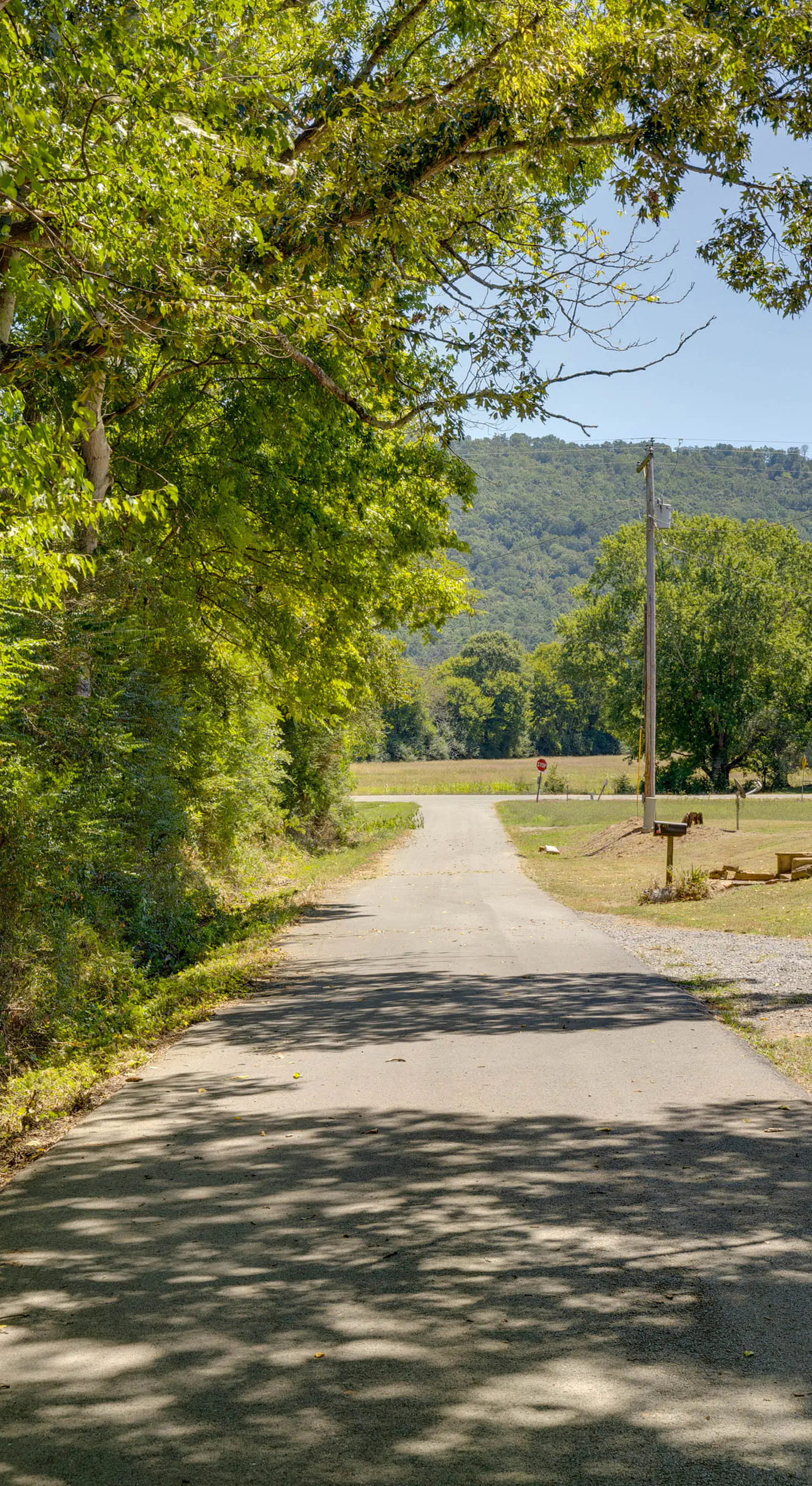 Fish & Explore: Wooded Lake Guntersville Retreat