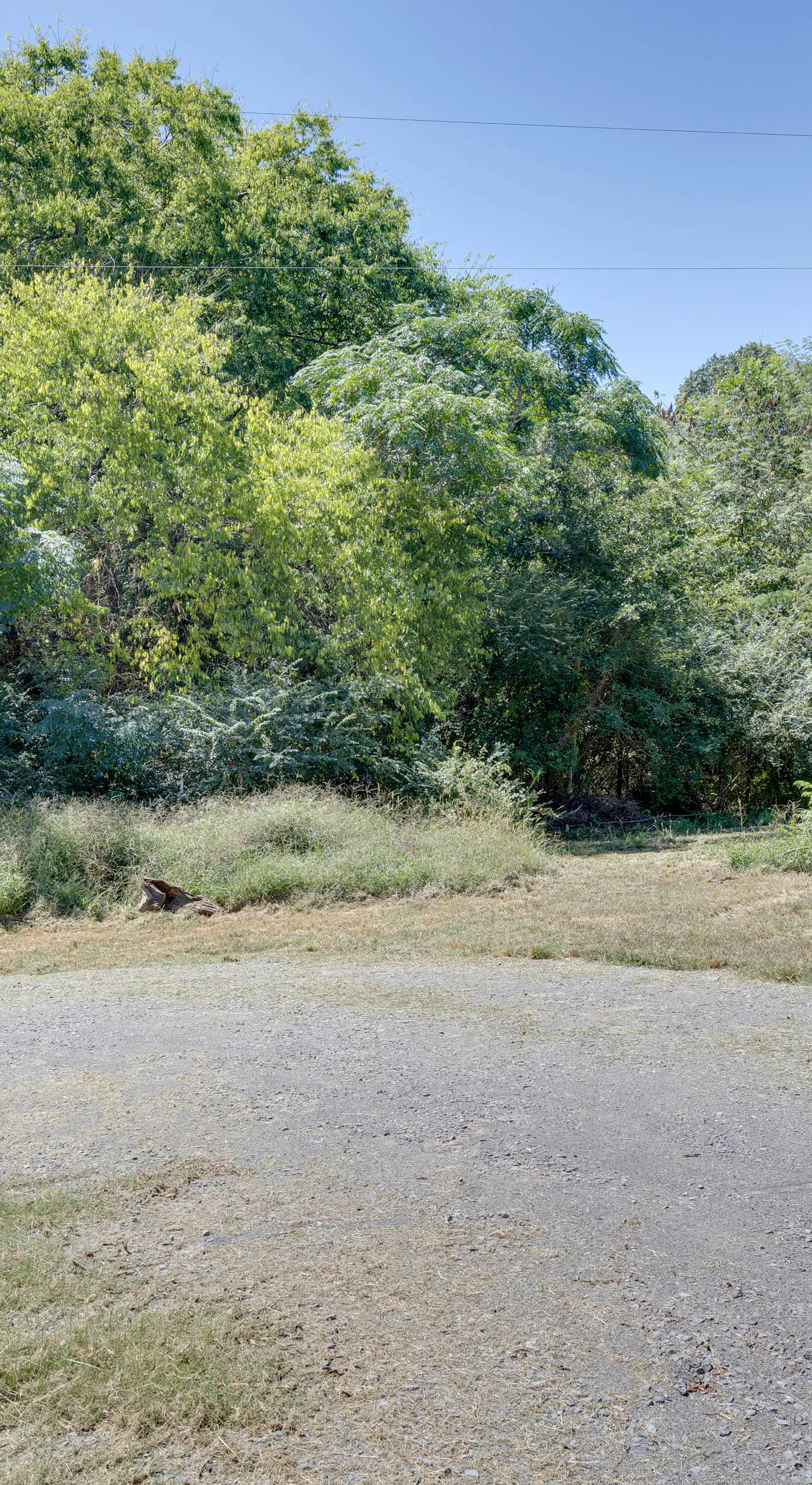 Pets Welcome: Quiet Retreat Near Lake Guntersville