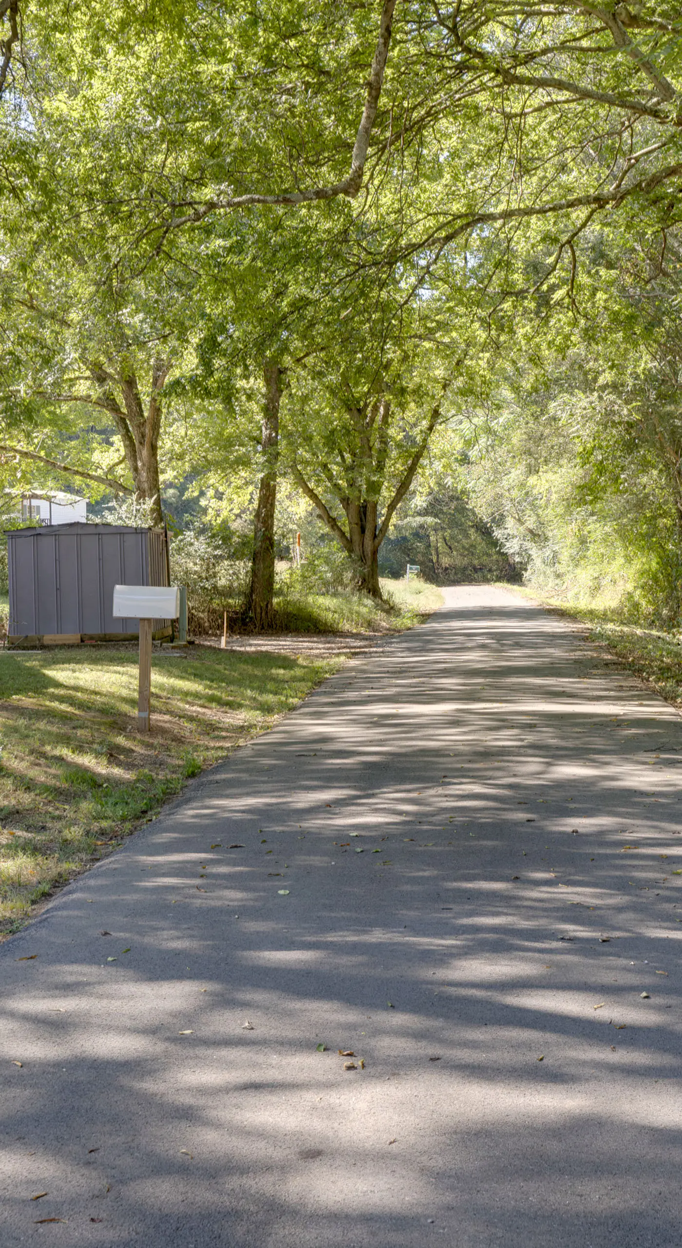 Pets Welcome: Quiet Retreat Near Lake Guntersville