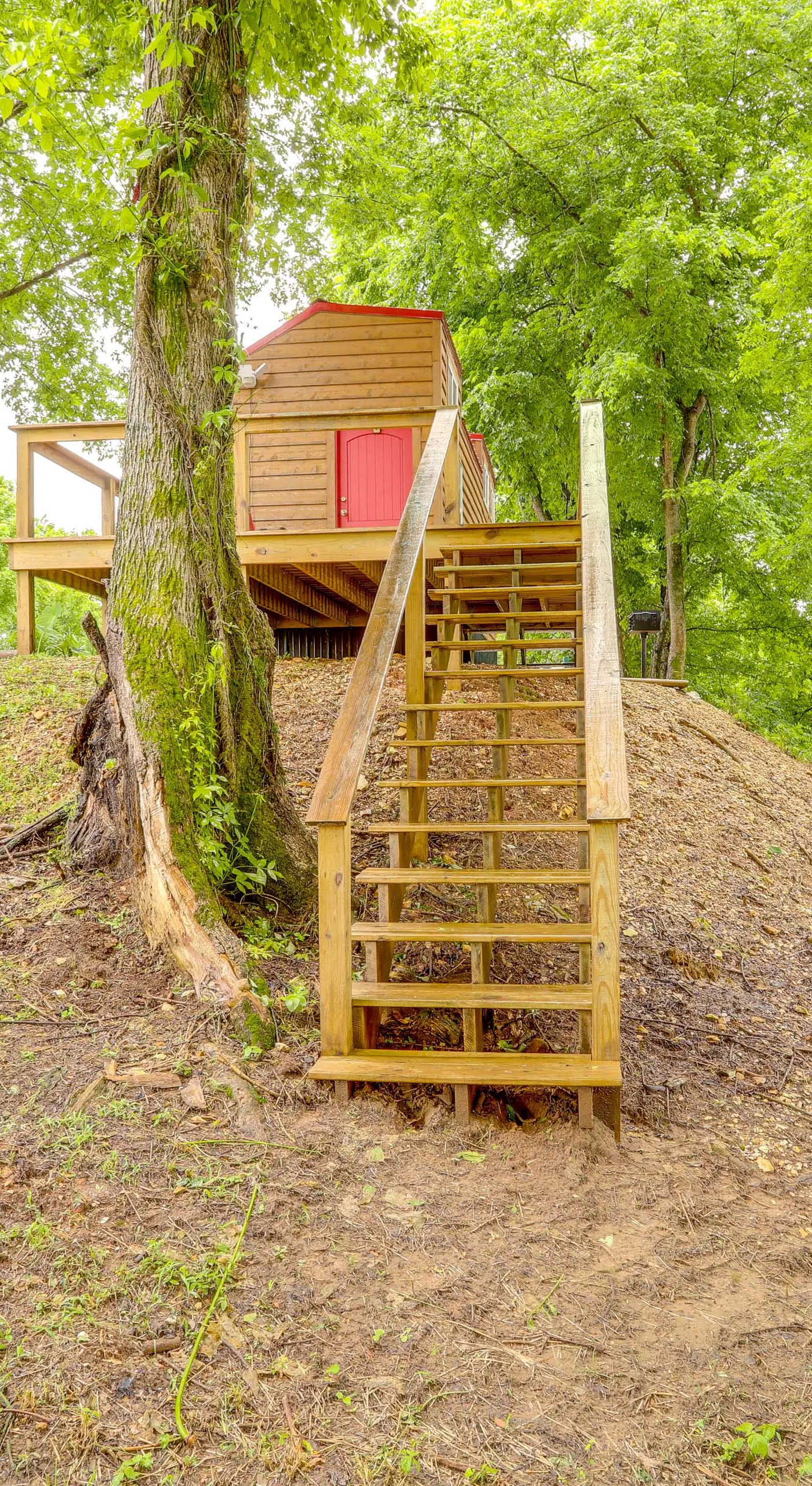Swim On-Site: Riverfront Studio in Mountain View!