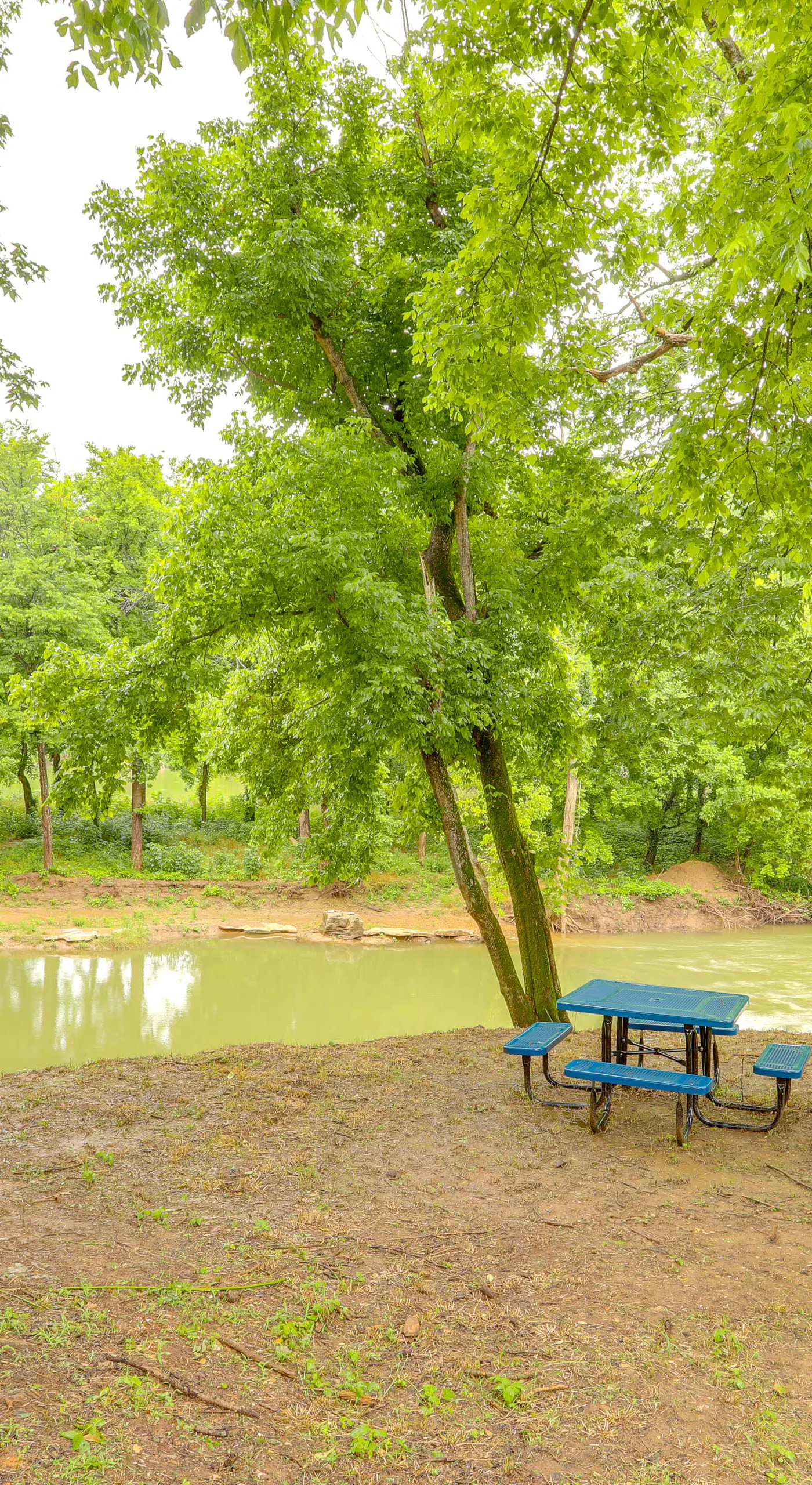Swim On-Site: Riverfront Studio in Mountain View!
