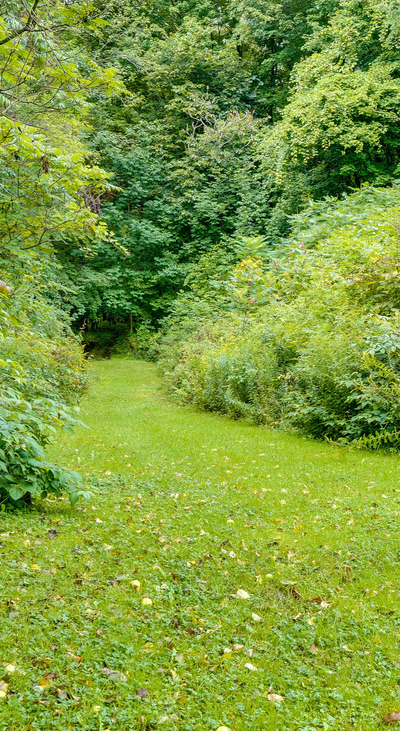 Pet-Friendly Jamestown Cabin w/ Fire Pit and Deck!