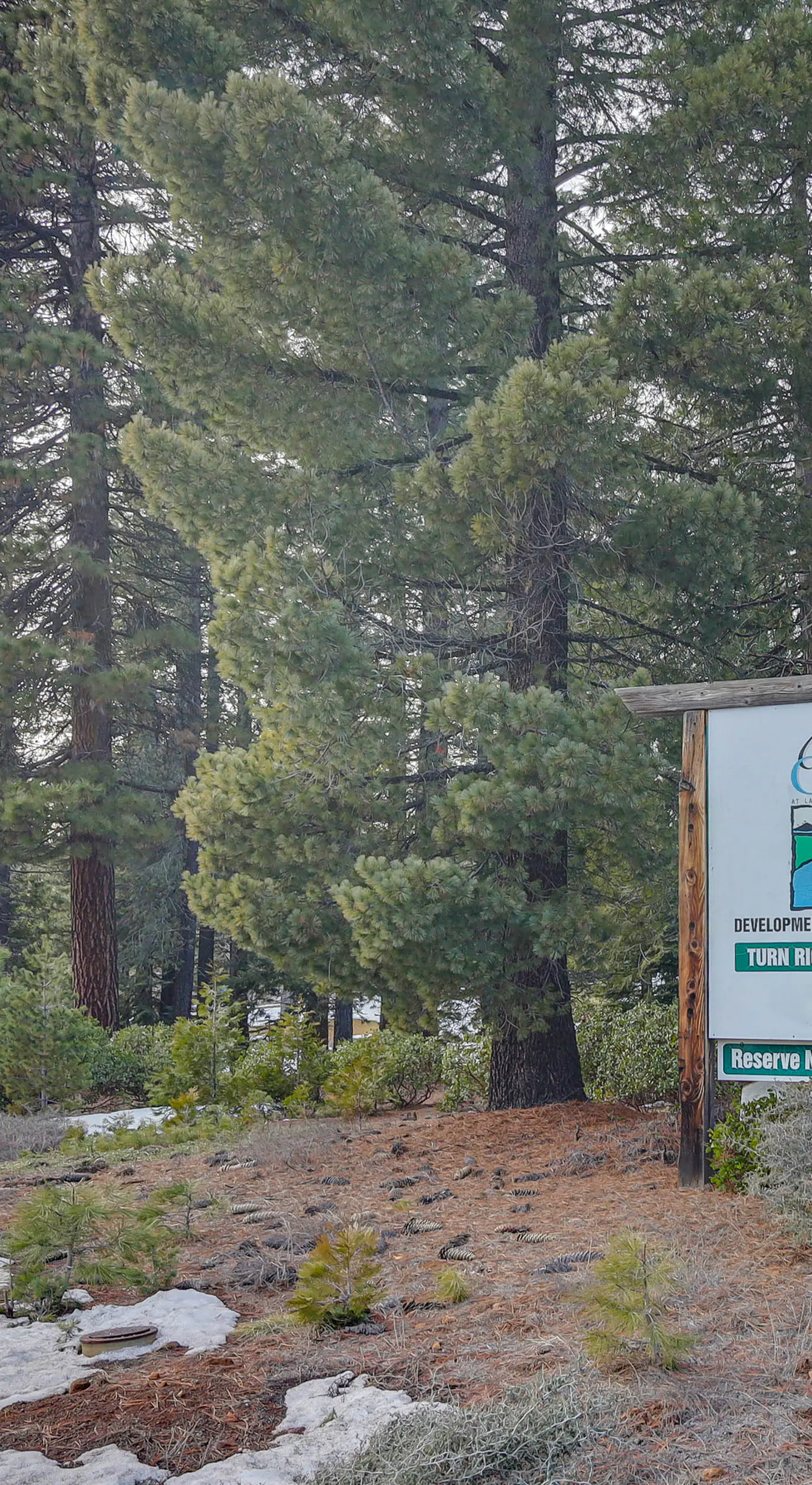 Cozy & Restful Cabin, Steps to Lake Almanor