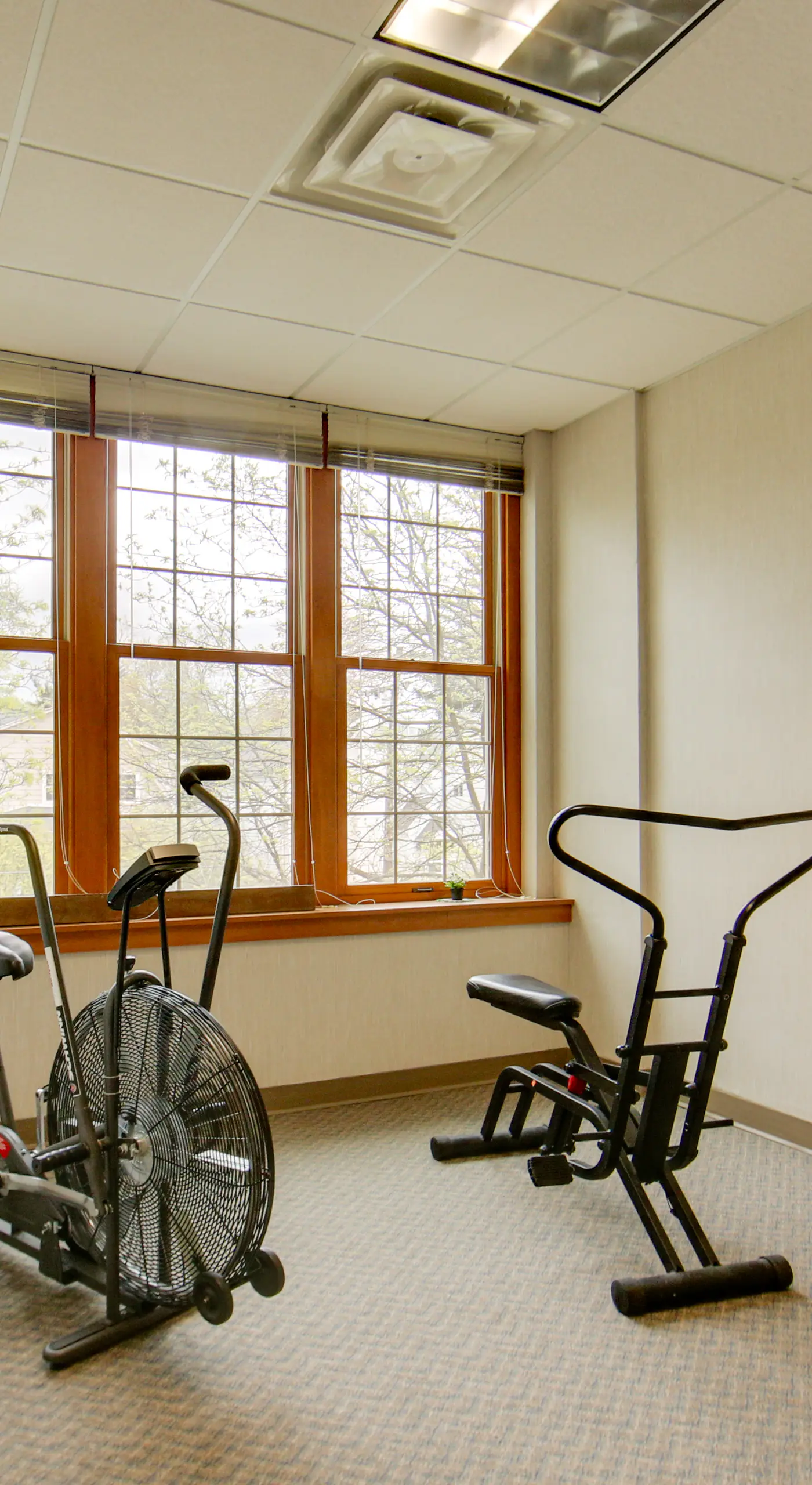 Day Trip to Pittsburgh: Comfy New Kensington Apt!