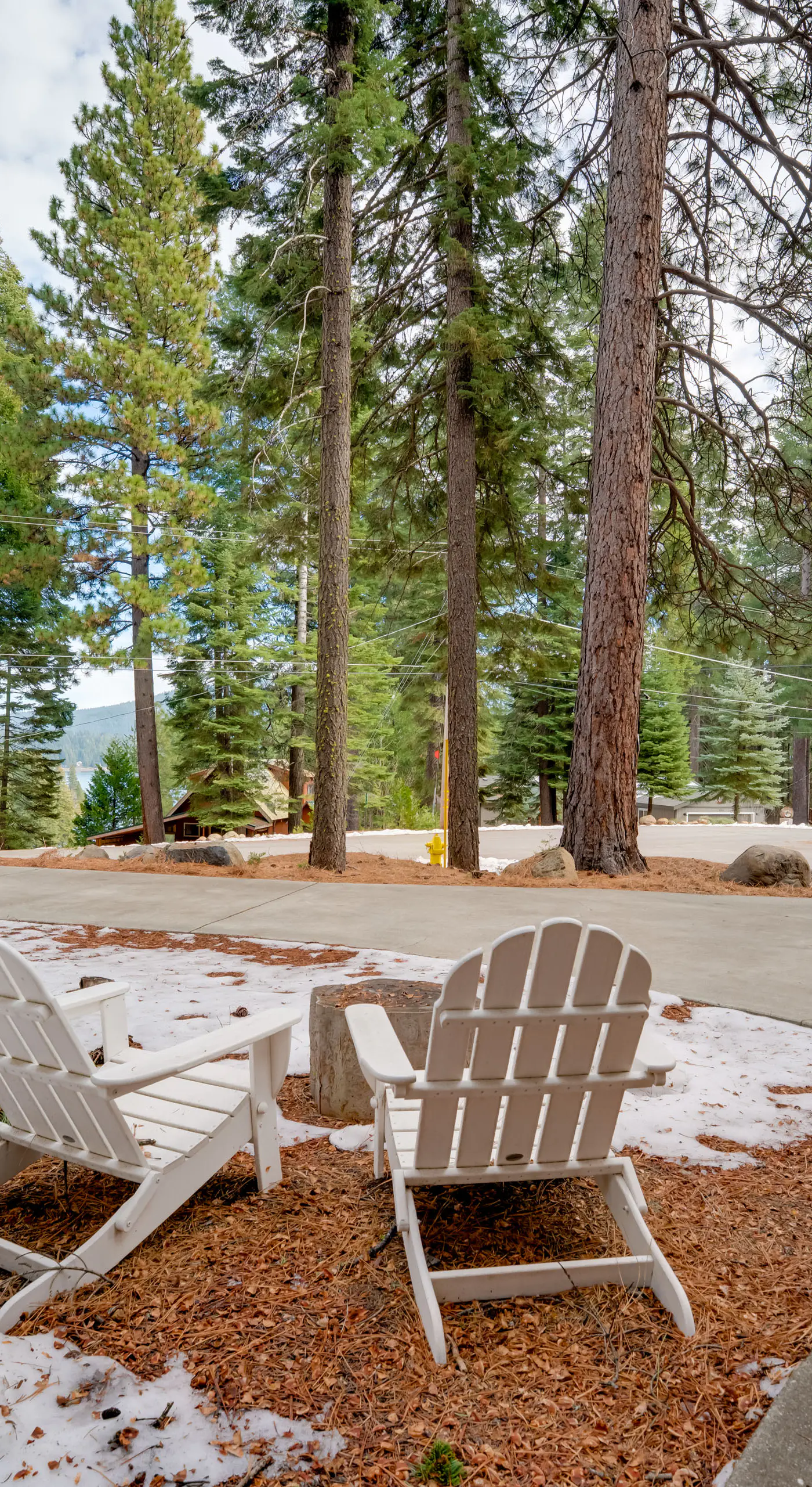 Gateway to Lassen Volcanic! Cozy Woodland Studio
