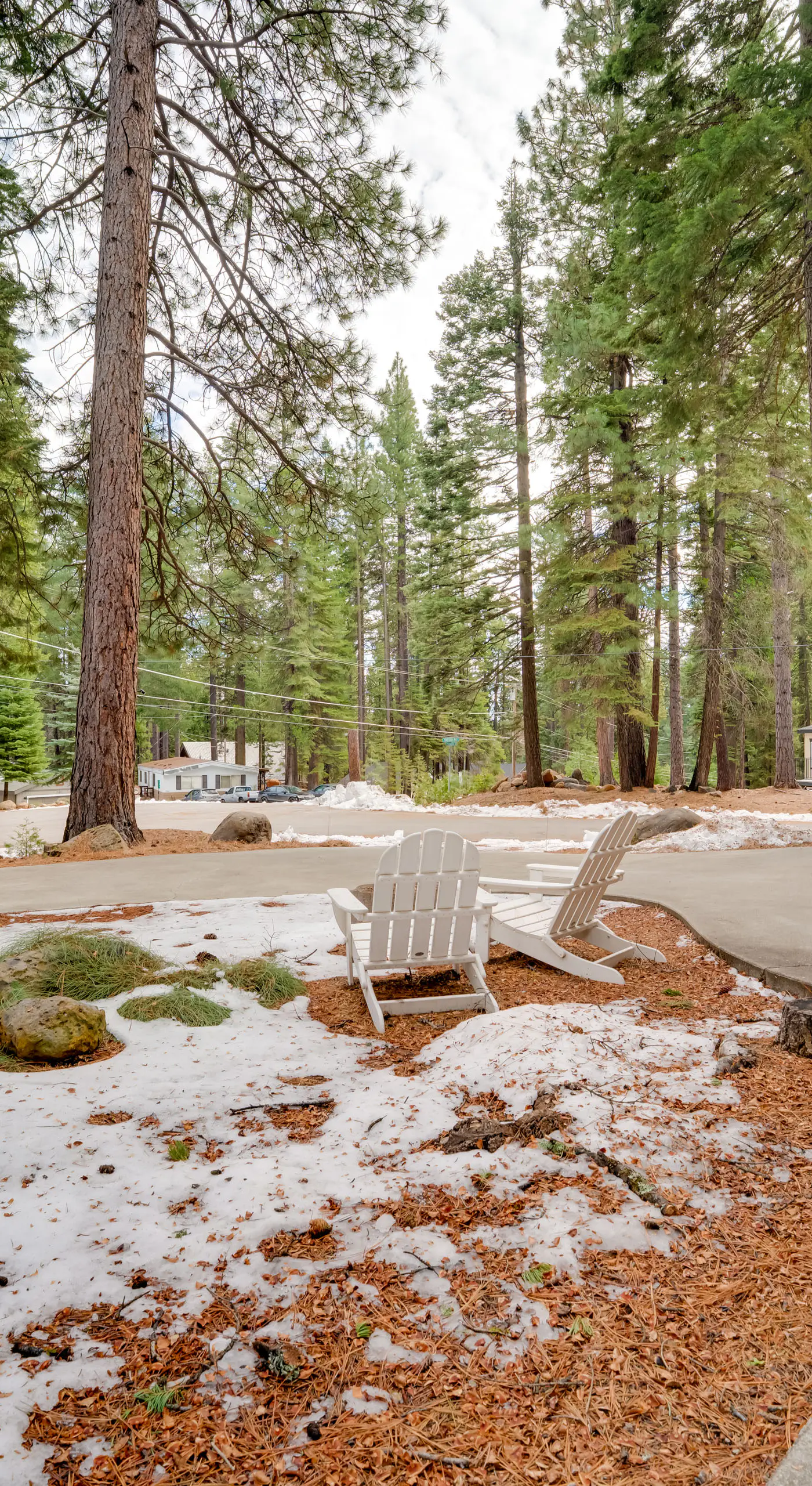 Gateway to Lassen Volcanic! Cozy Woodland Studio