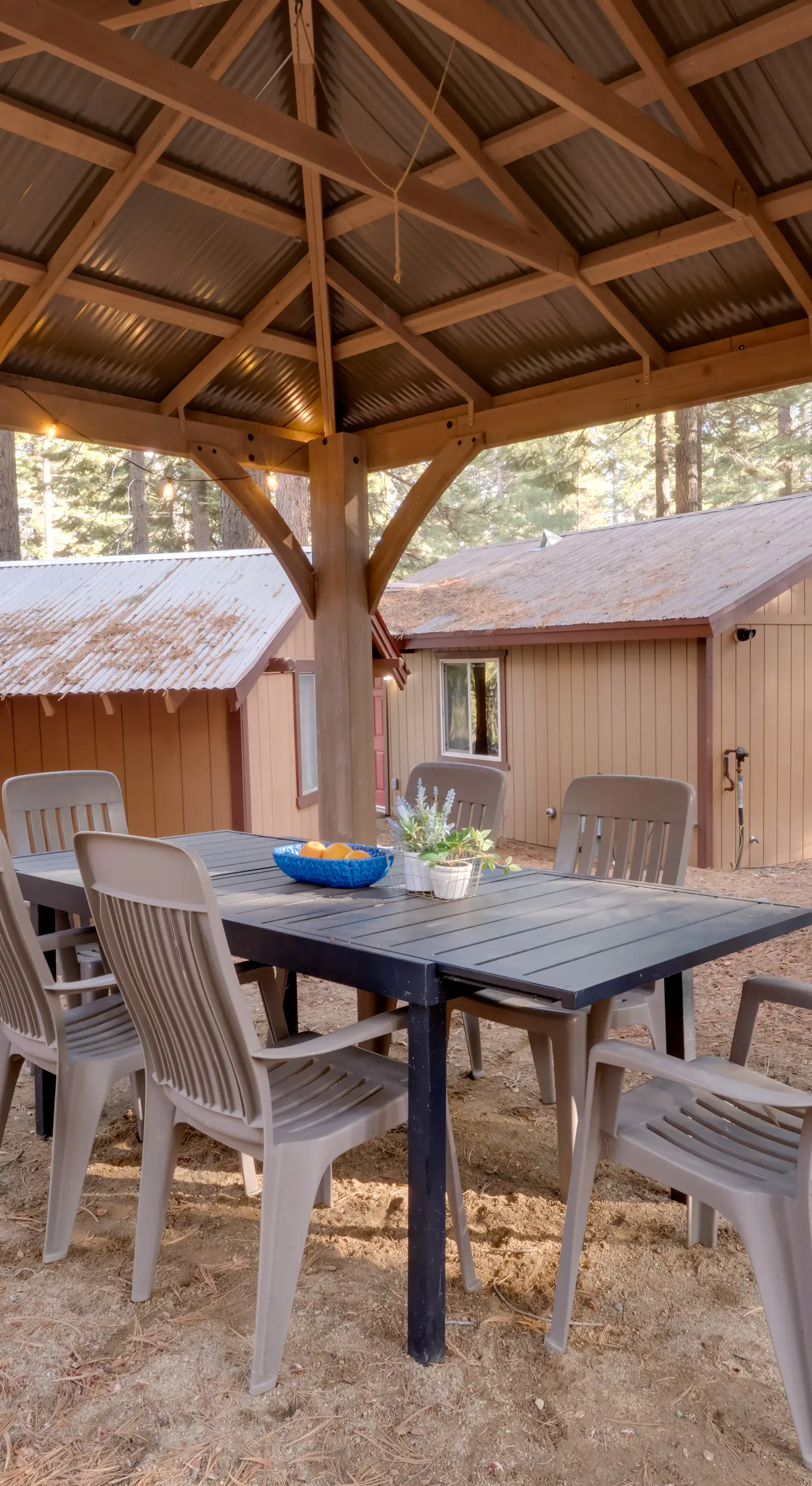 Gateway to Lassen Volcanic! Cozy Woodland Studio