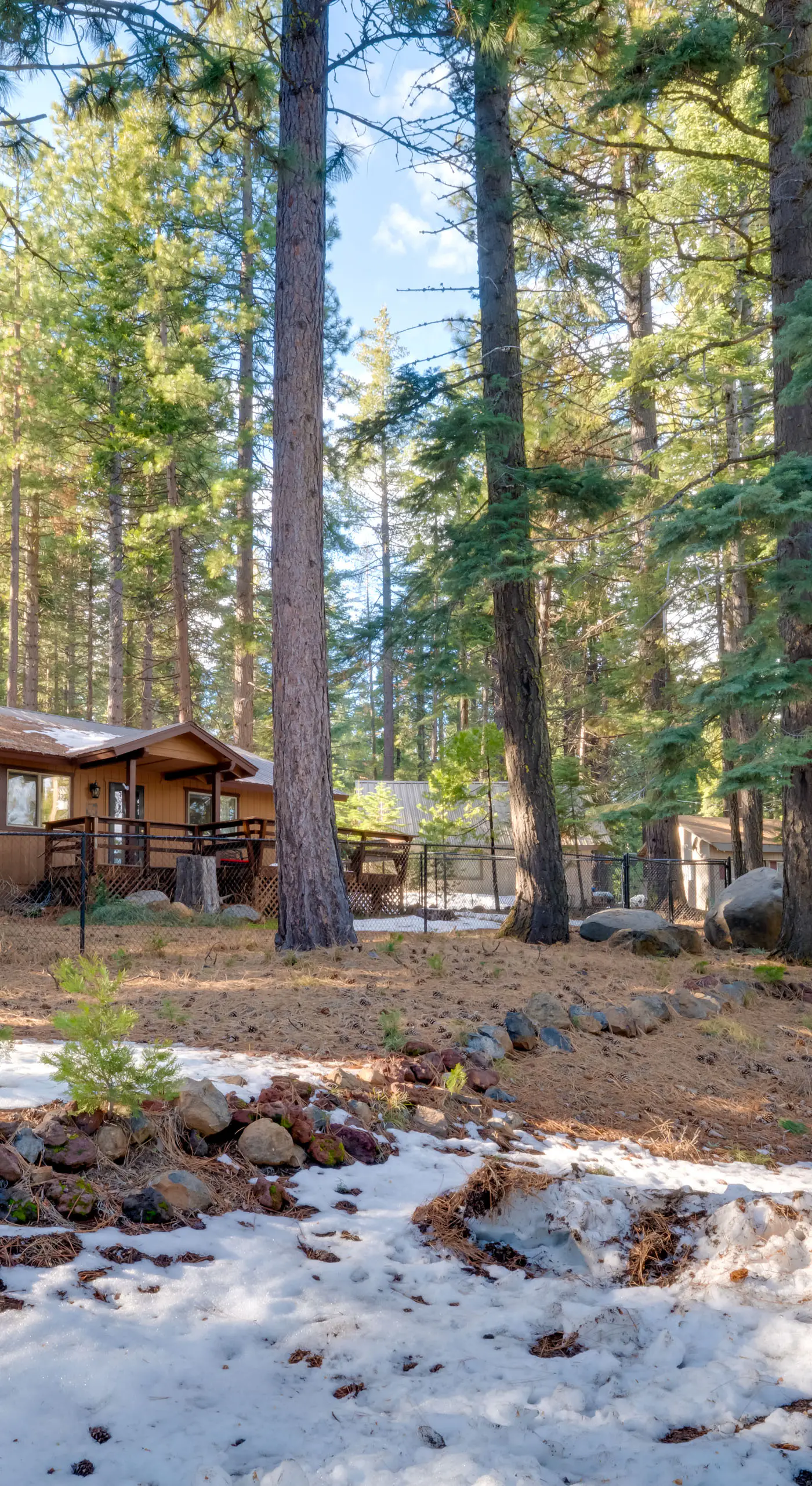 Gateway to Lassen Volcanic! Cozy Woodland Studio