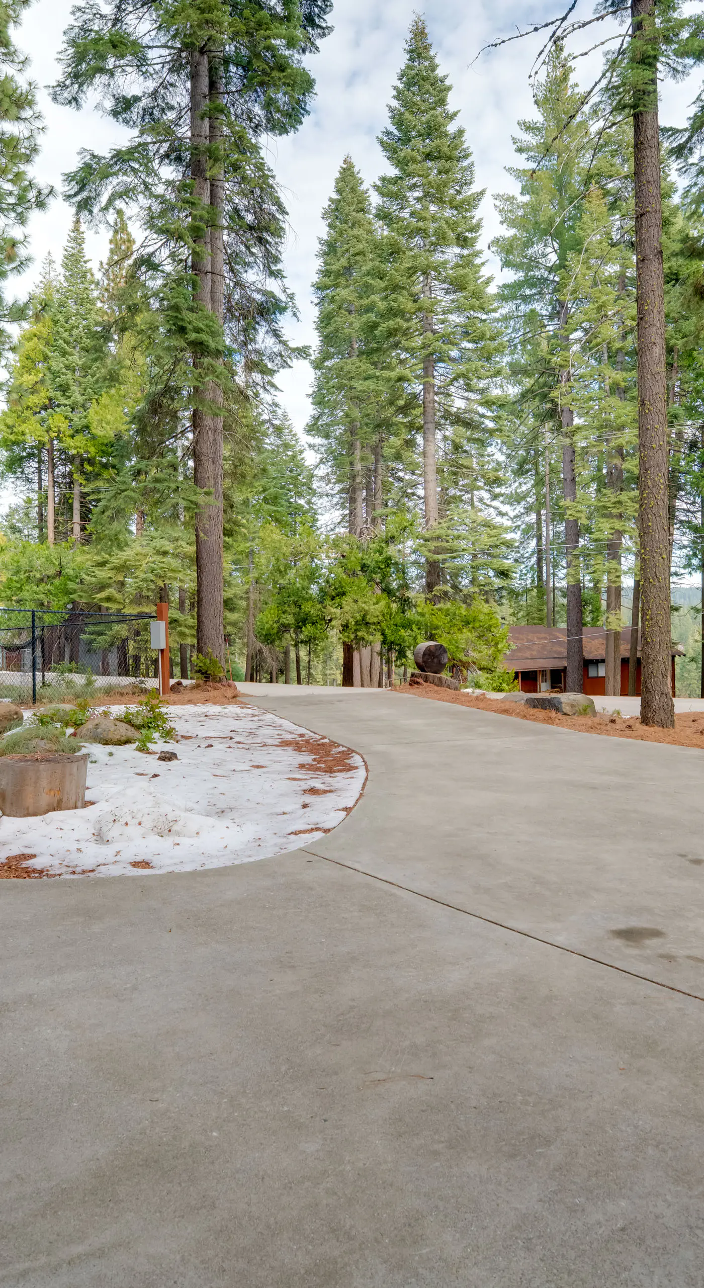 Gateway to Lassen Volcanic! Cozy Woodland Studio