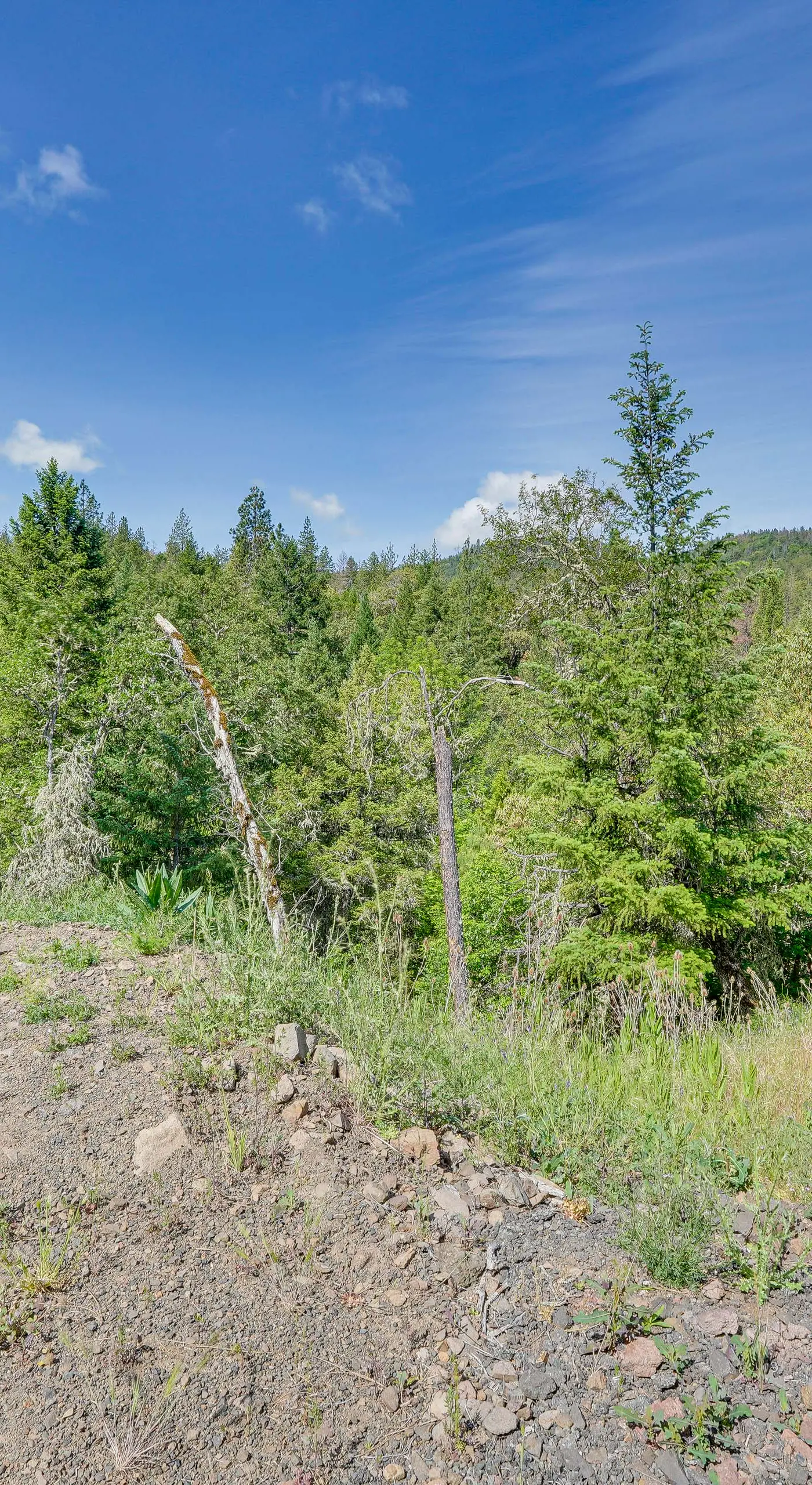Hiking Trail On-Site: Mtn-View Eagle Point Retreat