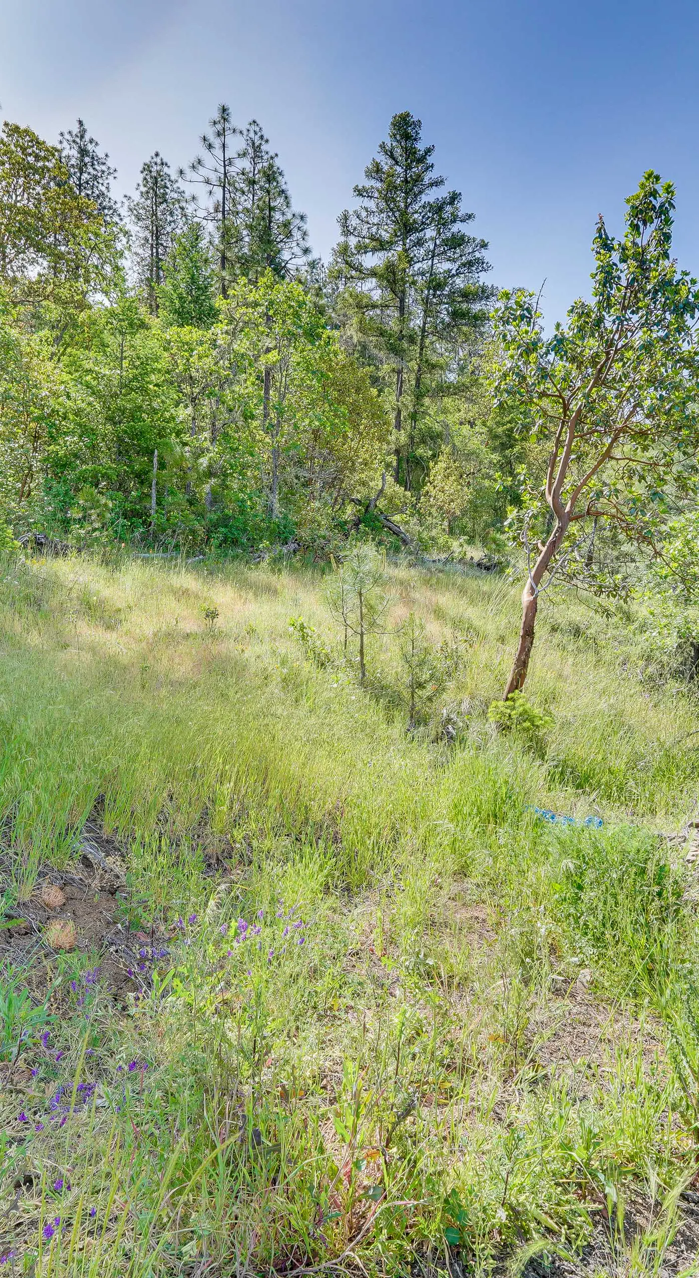 Hiking Trail On-Site: Mtn-View Eagle Point Retreat