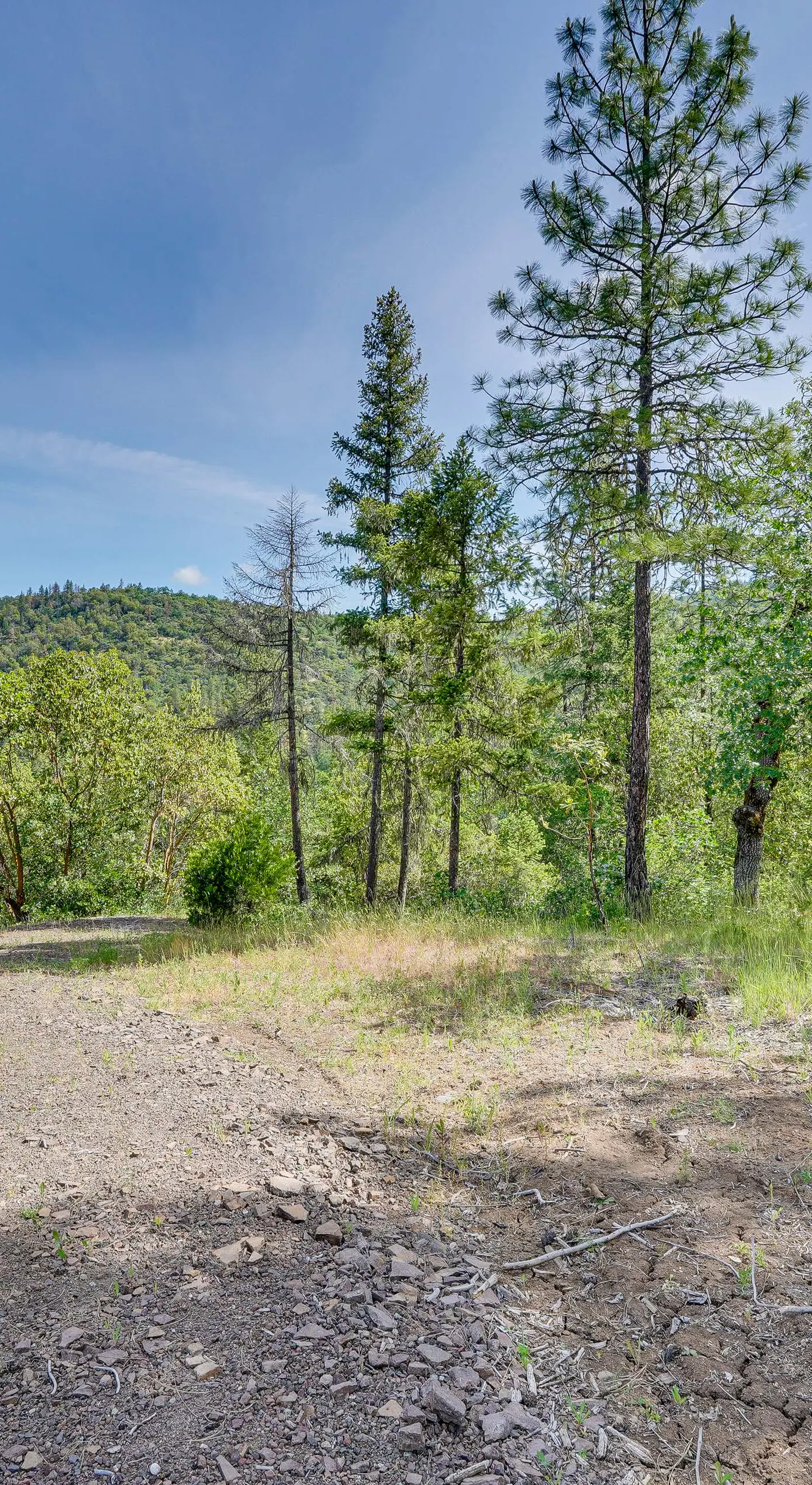 Hiking Trail On-Site: Mtn-View Eagle Point Retreat