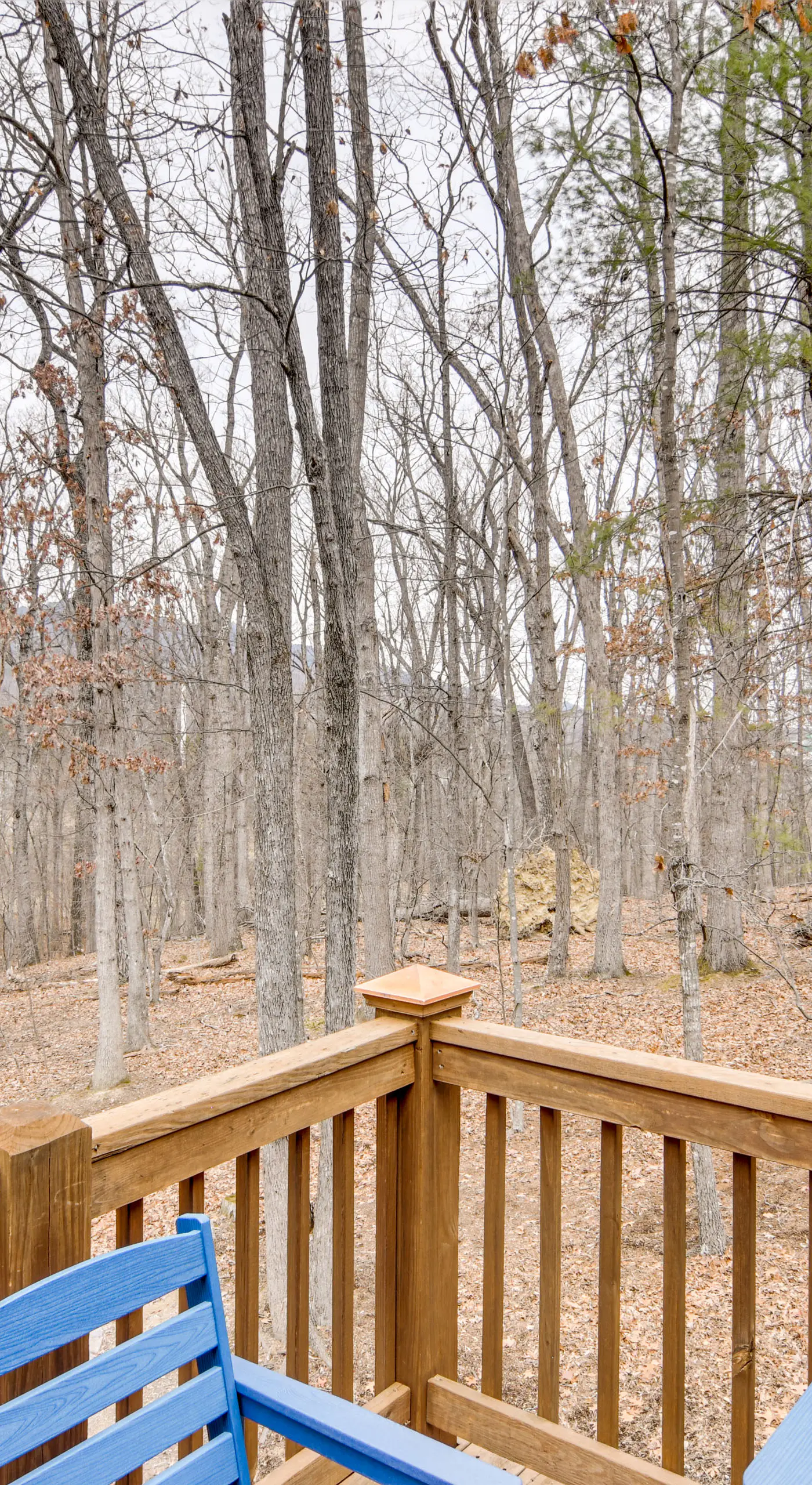 1 Mi to Slopes! Family-Friendly Massanutten Cabin