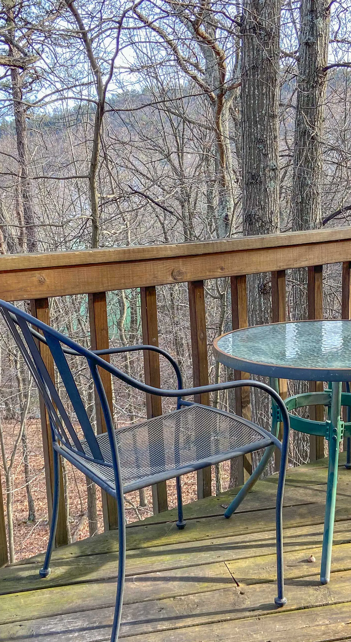 'The Overlook' in Massanutten’s All Season Resort