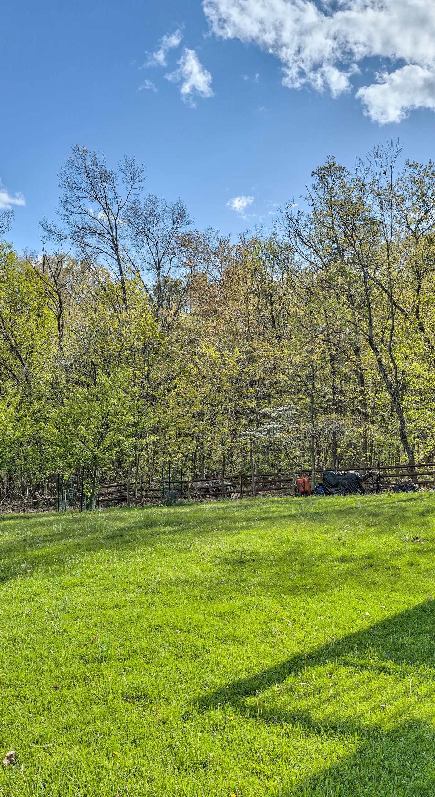 Pet-Friendly Massanutten Resort Home w/ Yard!
