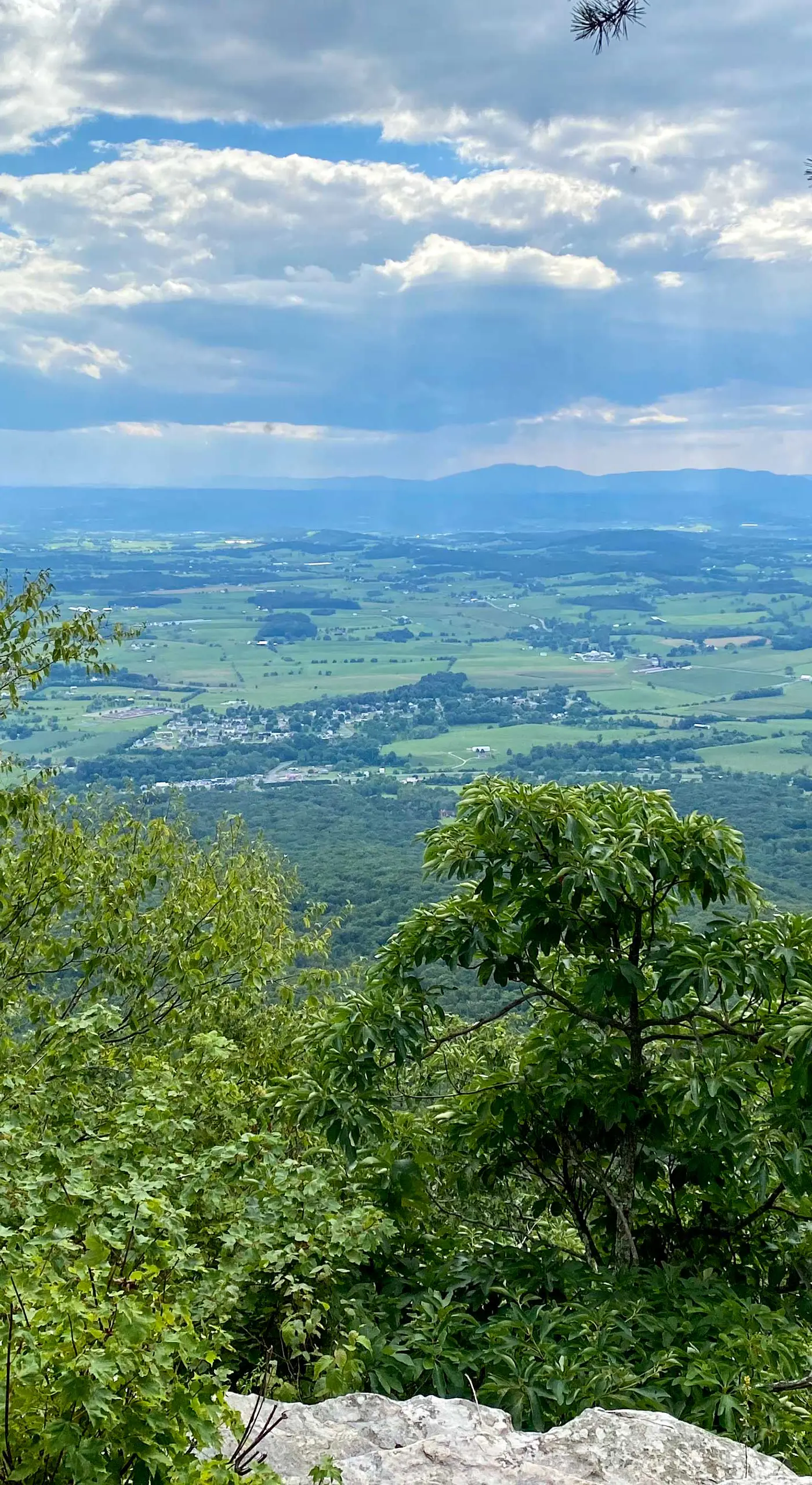 Family Getaway < 2 Mi to Massanutten Ski Lodge!