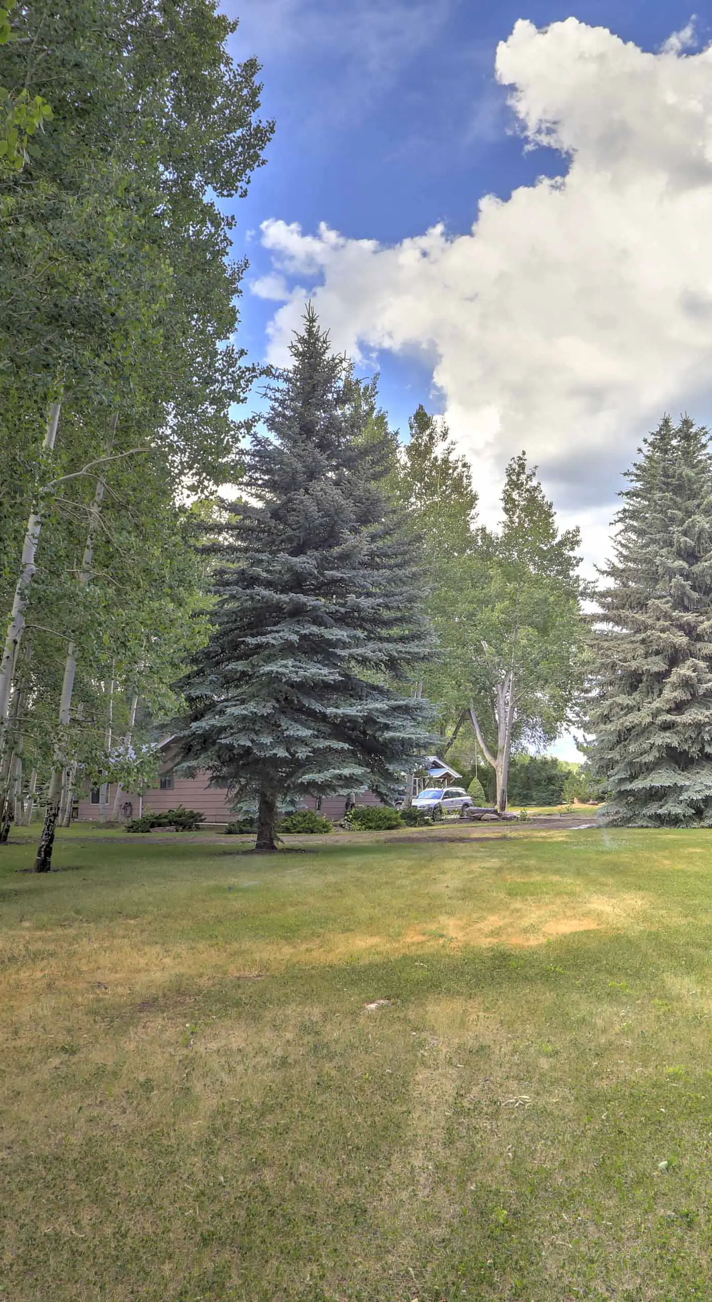Peaceful Mancos Hideaway: Only 1 Mi to Downtown!